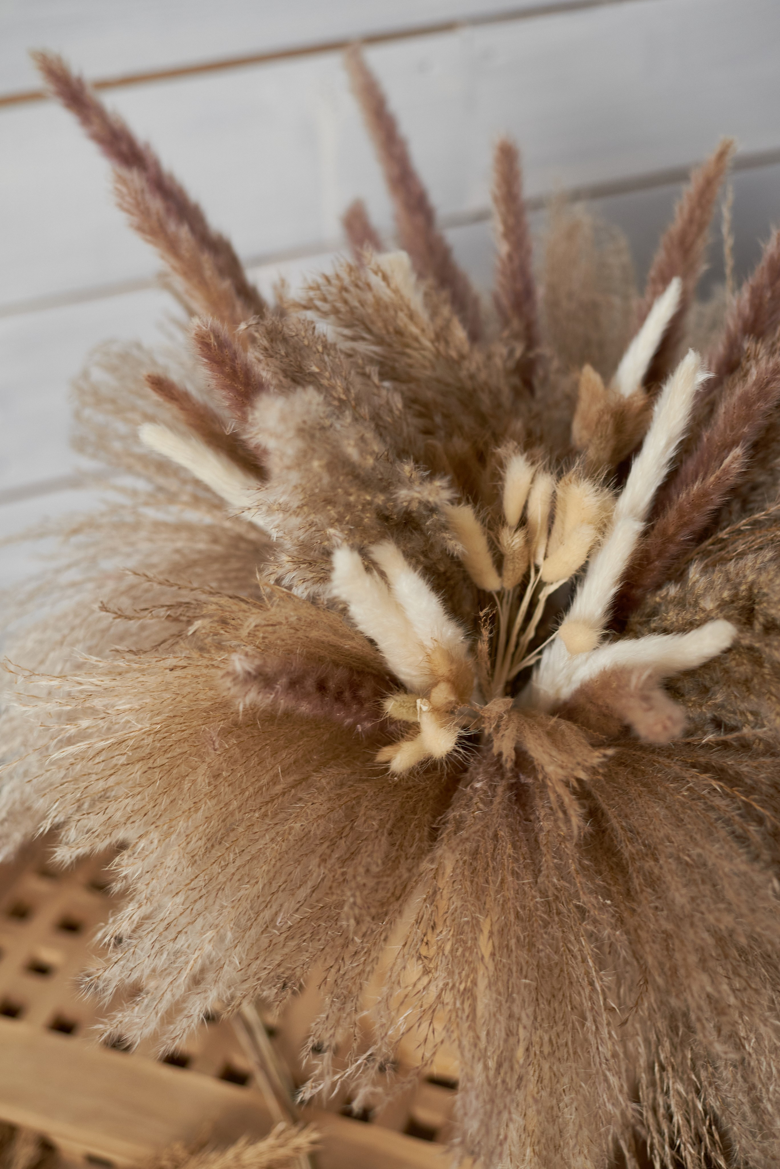 Настя. Фотограф Новочеркасск Ростов Карина Чернова