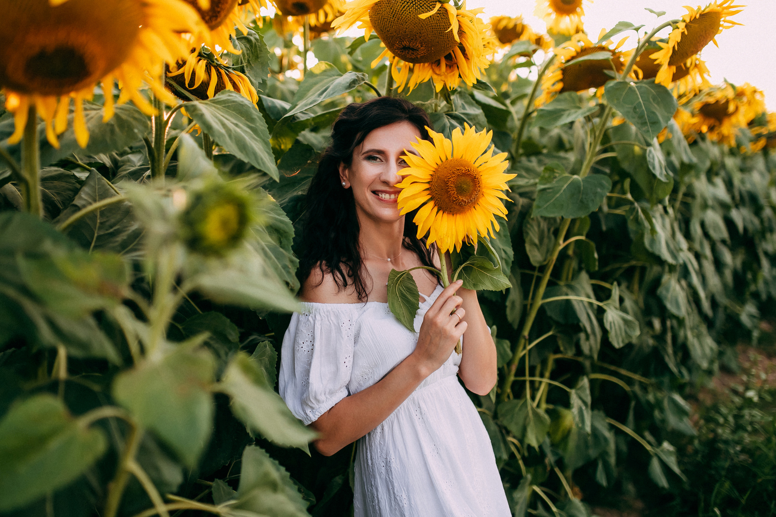 Однажды в подсолнухах. Свадебный и семейный фотограф Анастасия Меркуль