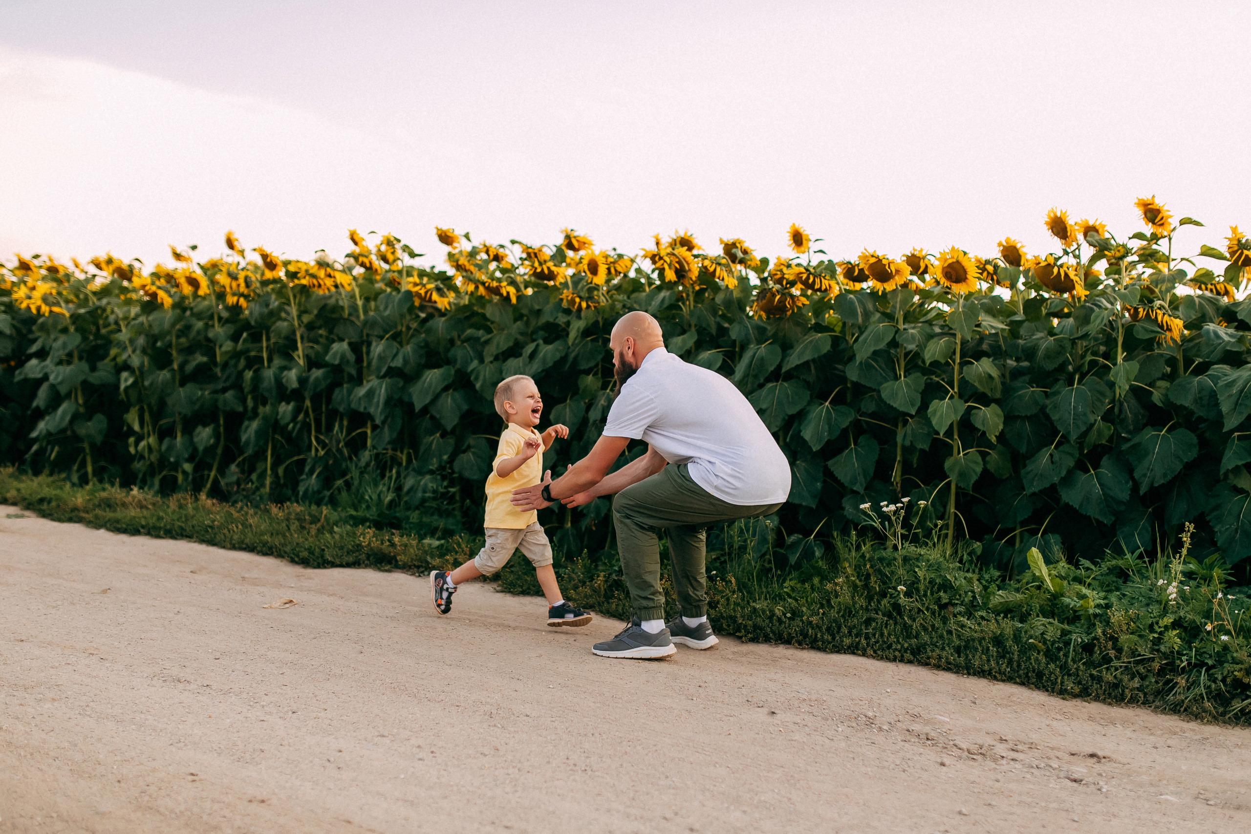 Однажды в подсолнухах. Свадебный и семейный фотограф Анастасия Меркуль
