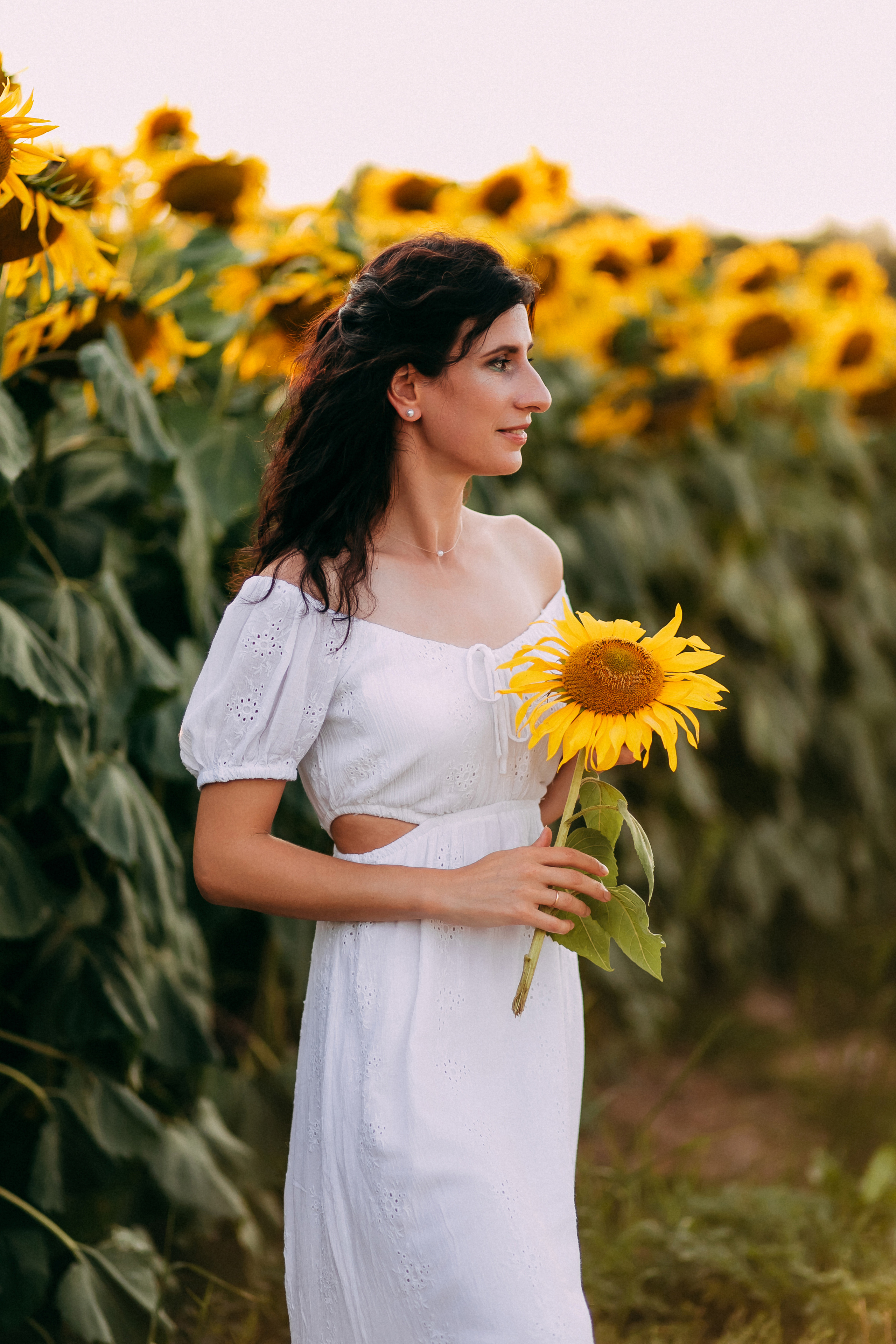 Однажды в подсолнухах. Свадебный и семейный фотограф Анастасия Меркуль