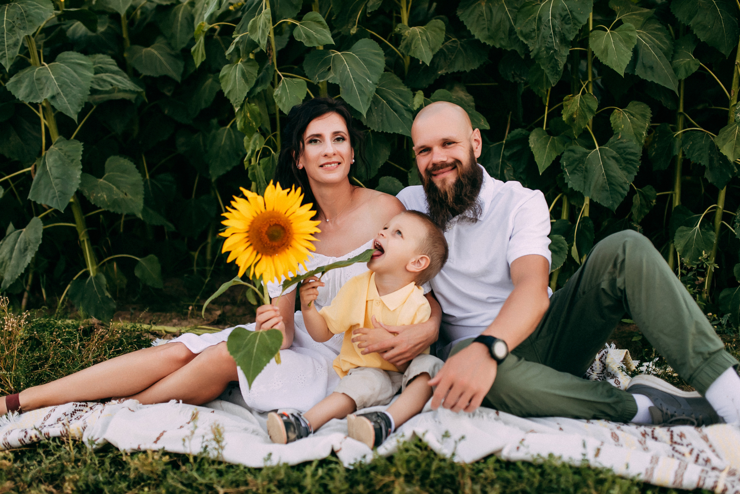 Однажды в подсолнухах. Свадебный и семейный фотограф Анастасия Меркуль