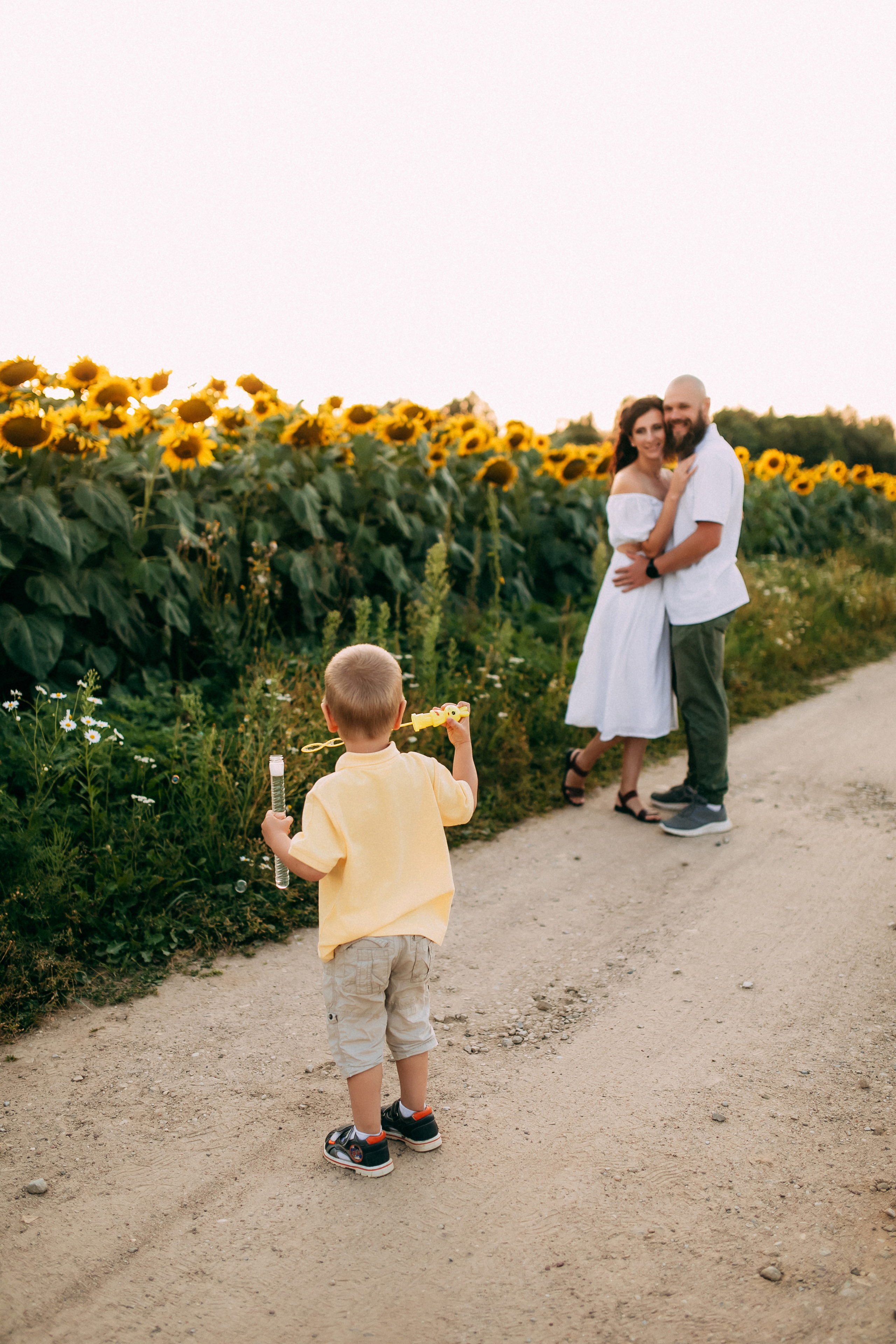 Однажды в подсолнухах. Свадебный и семейный фотограф Анастасия Меркуль