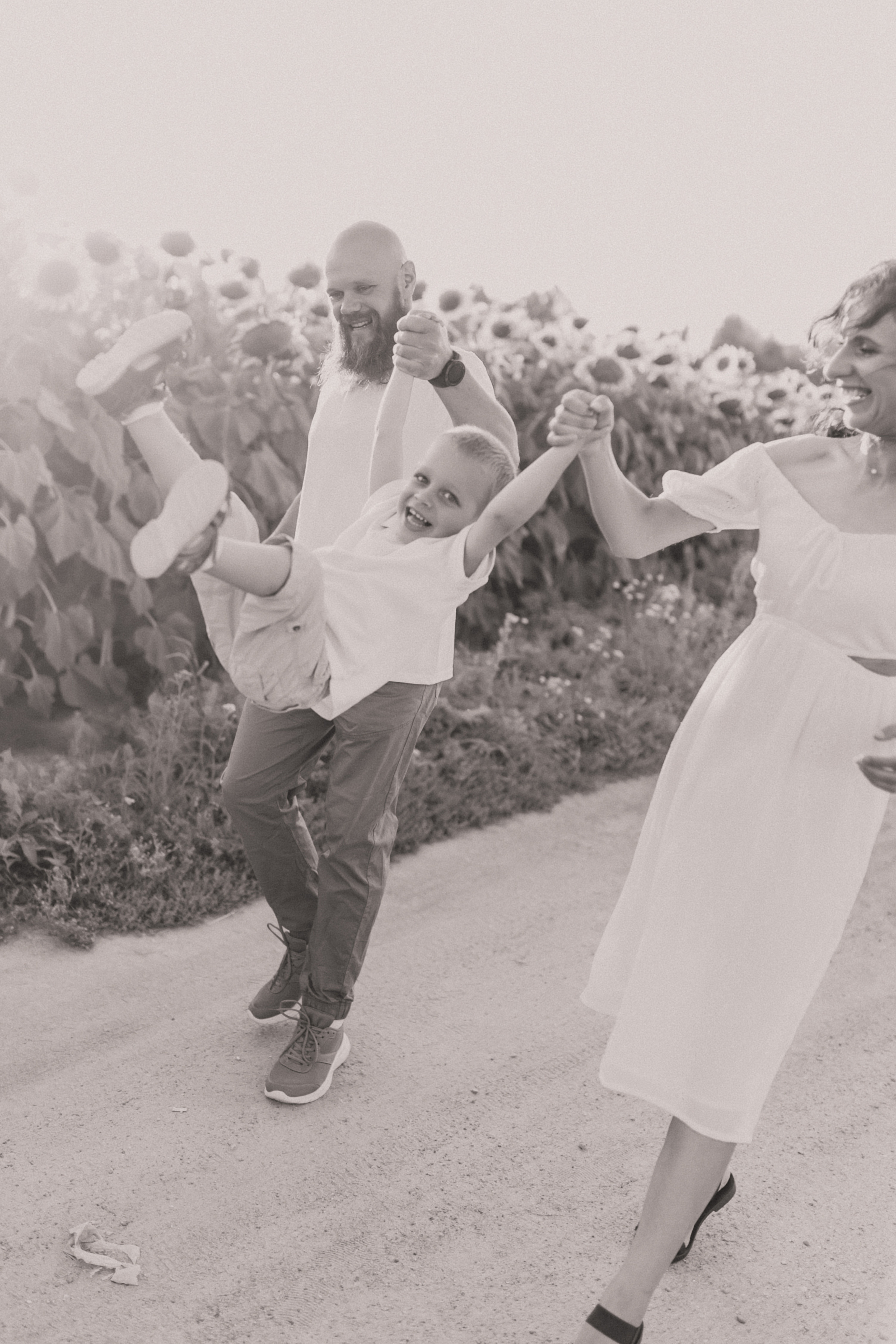 Однажды в подсолнухах. Свадебный и семейный фотограф Анастасия Меркуль