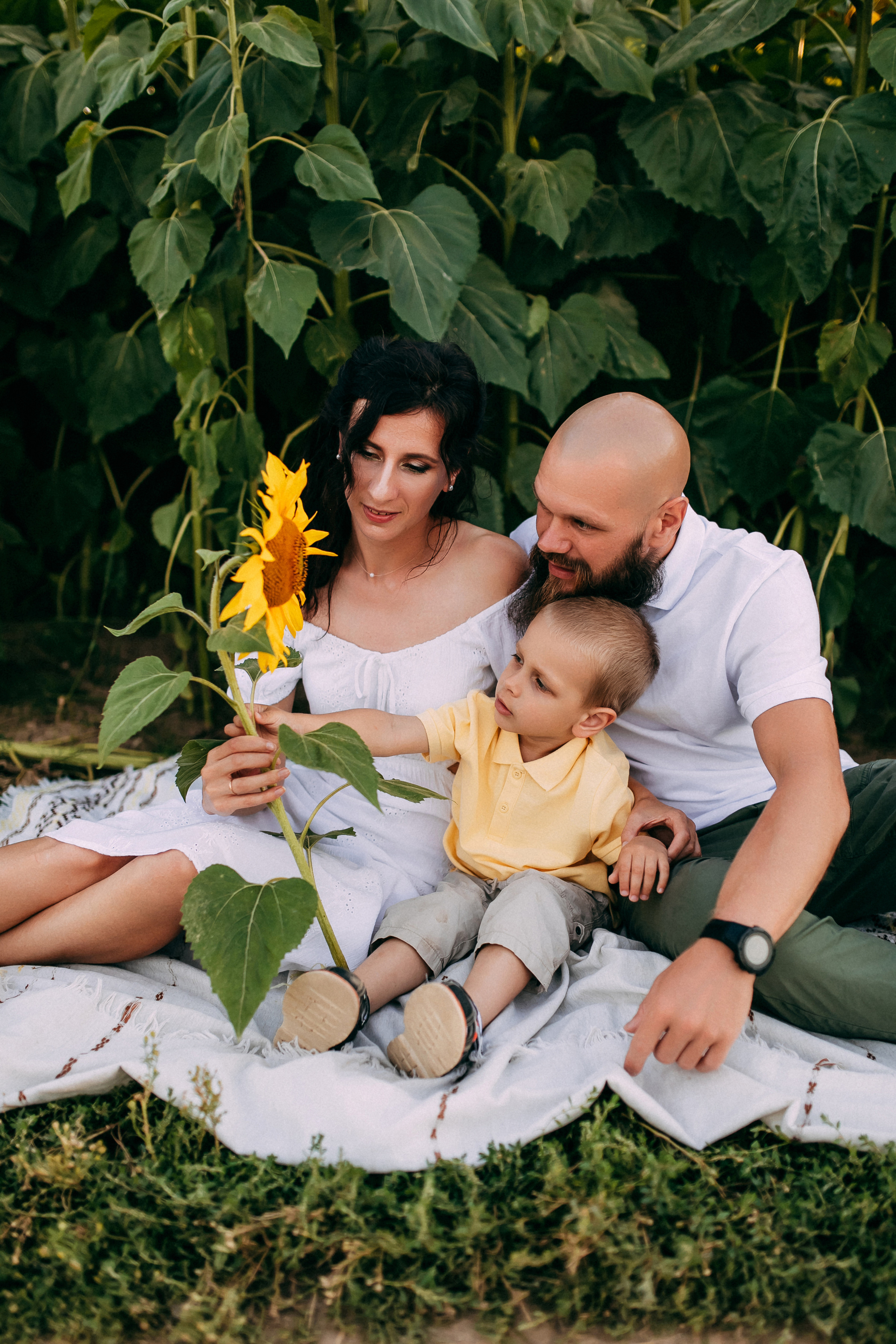 Однажды в подсолнухах. Свадебный и семейный фотограф Анастасия Меркуль