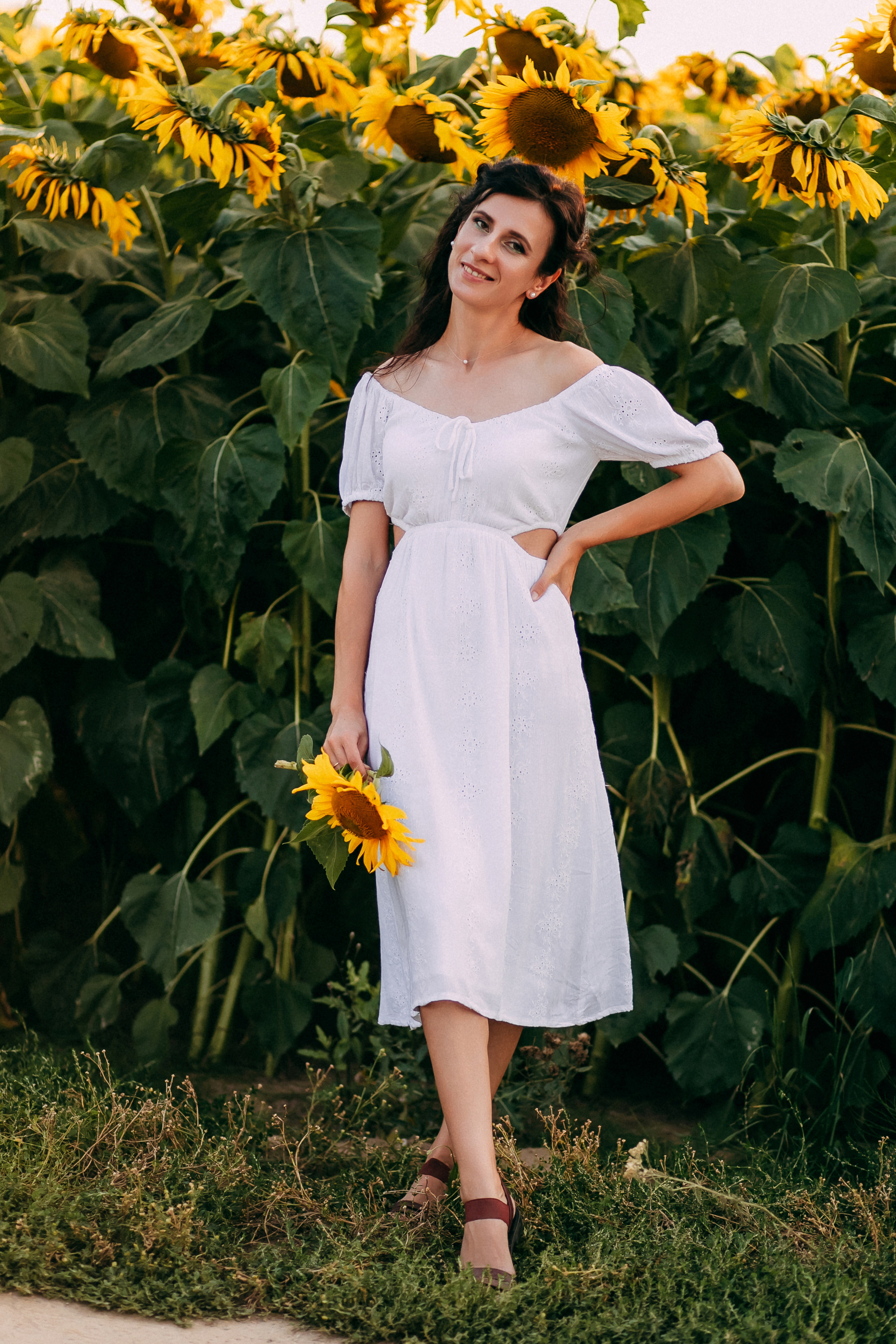 Однажды в подсолнухах. Свадебный и семейный фотограф Анастасия Меркуль