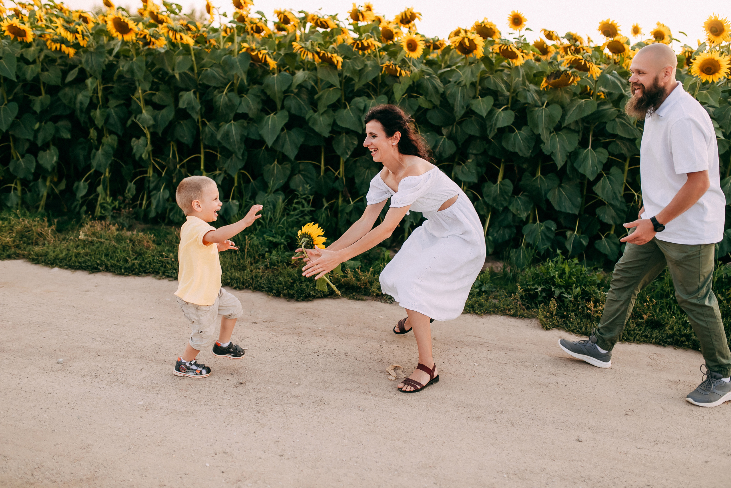 Однажды в подсолнухах. Свадебный и семейный фотограф Анастасия Меркуль