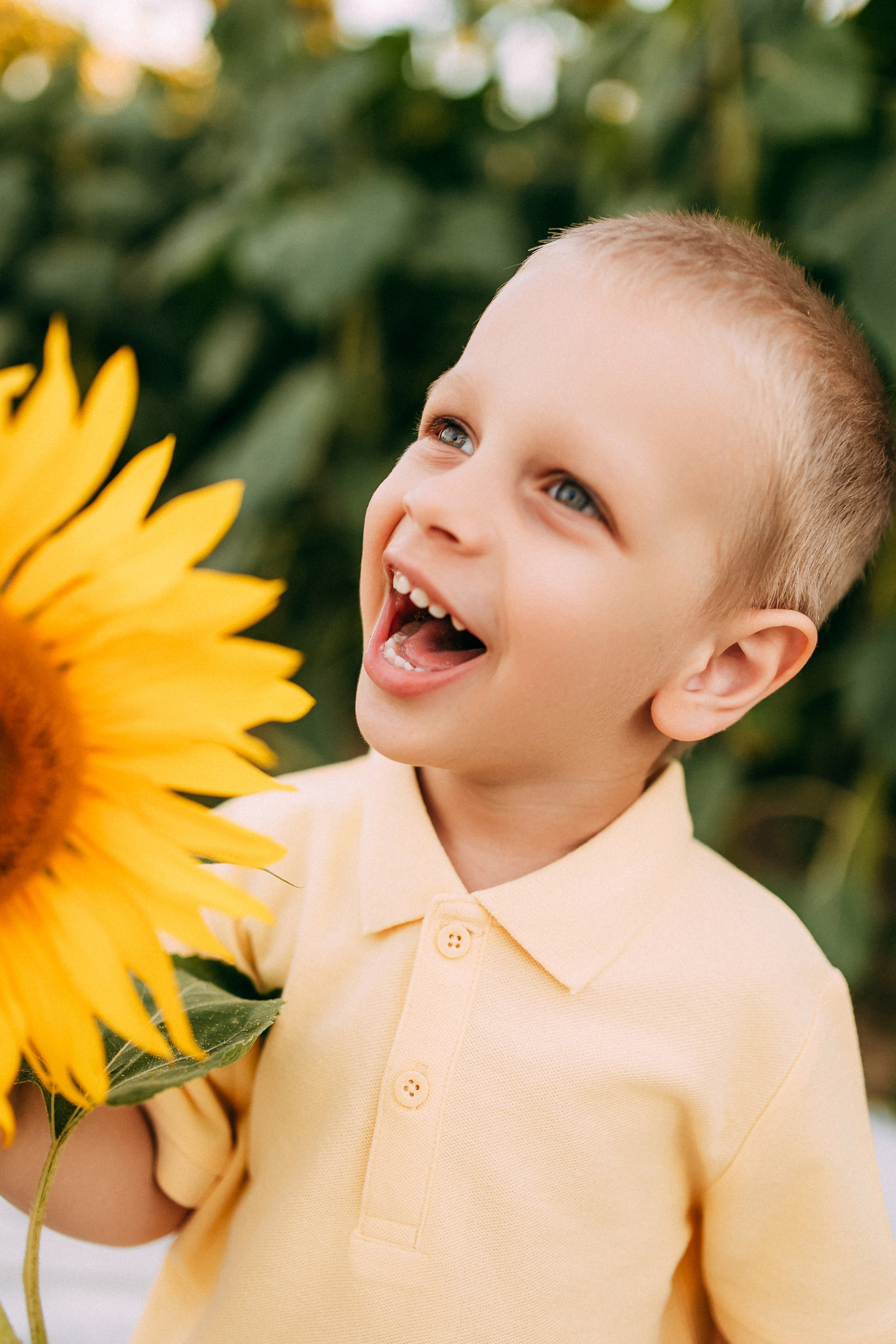 Однажды в подсолнухах. Свадебный и семейный фотограф Анастасия Меркуль