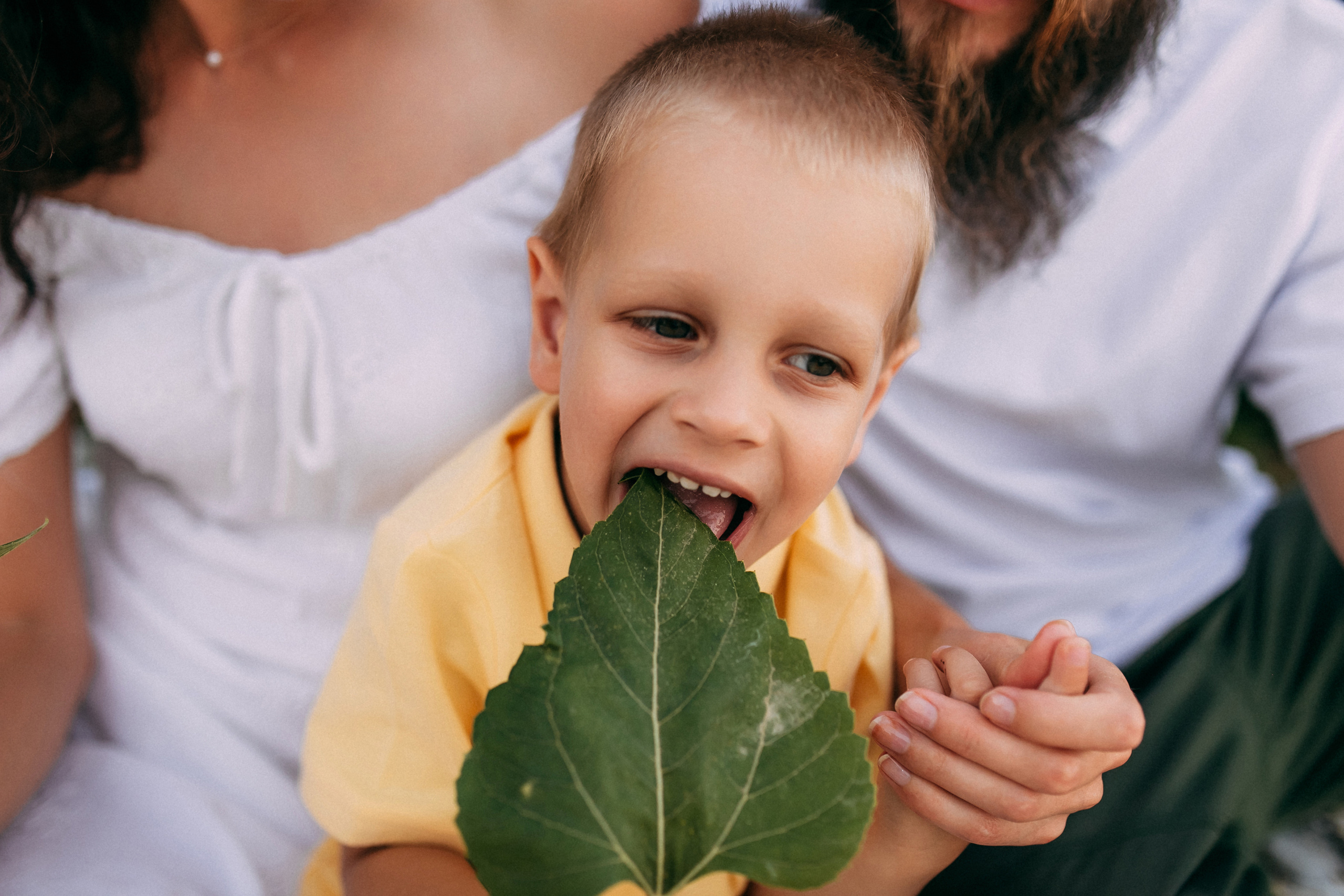 Однажды в подсолнухах. Свадебный и семейный фотограф Анастасия Меркуль