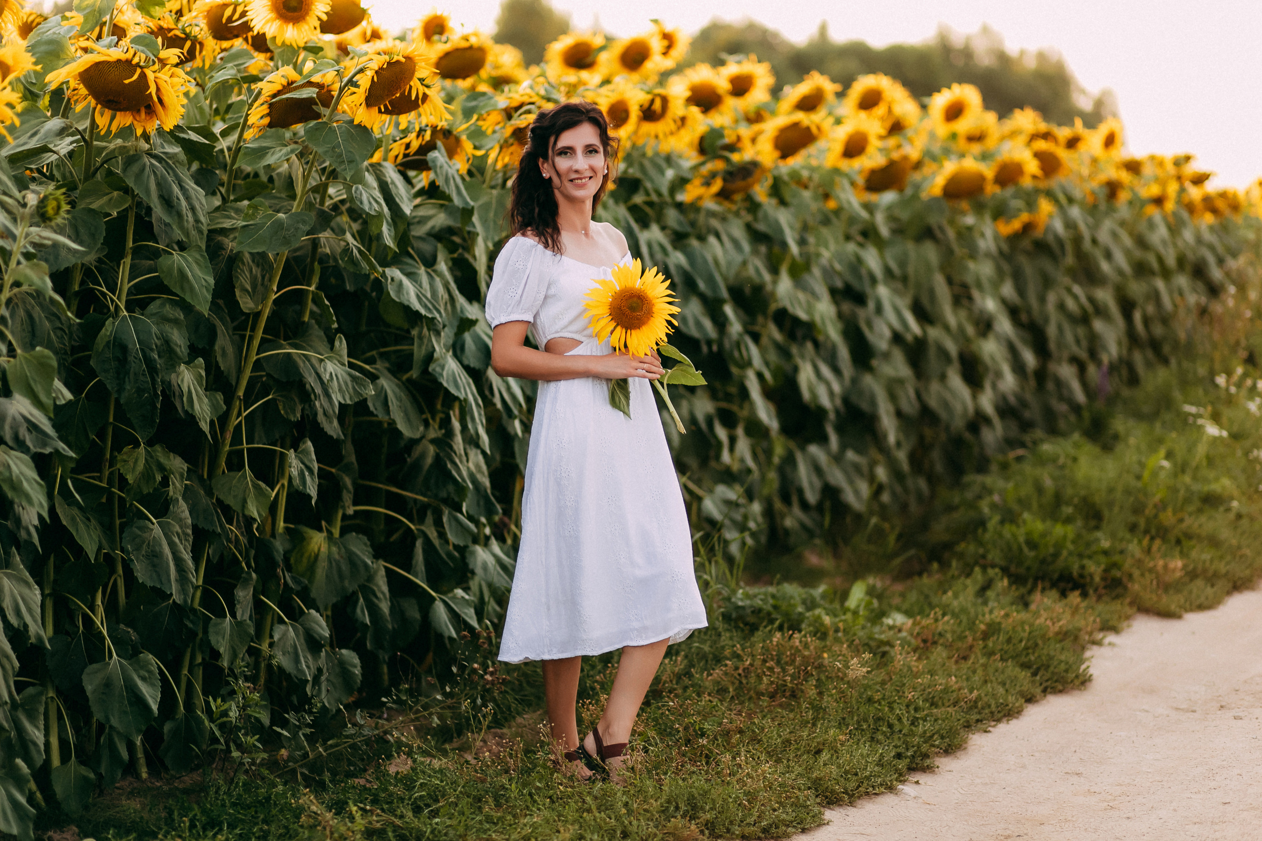 Однажды в подсолнухах. Свадебный и семейный фотограф Анастасия Меркуль