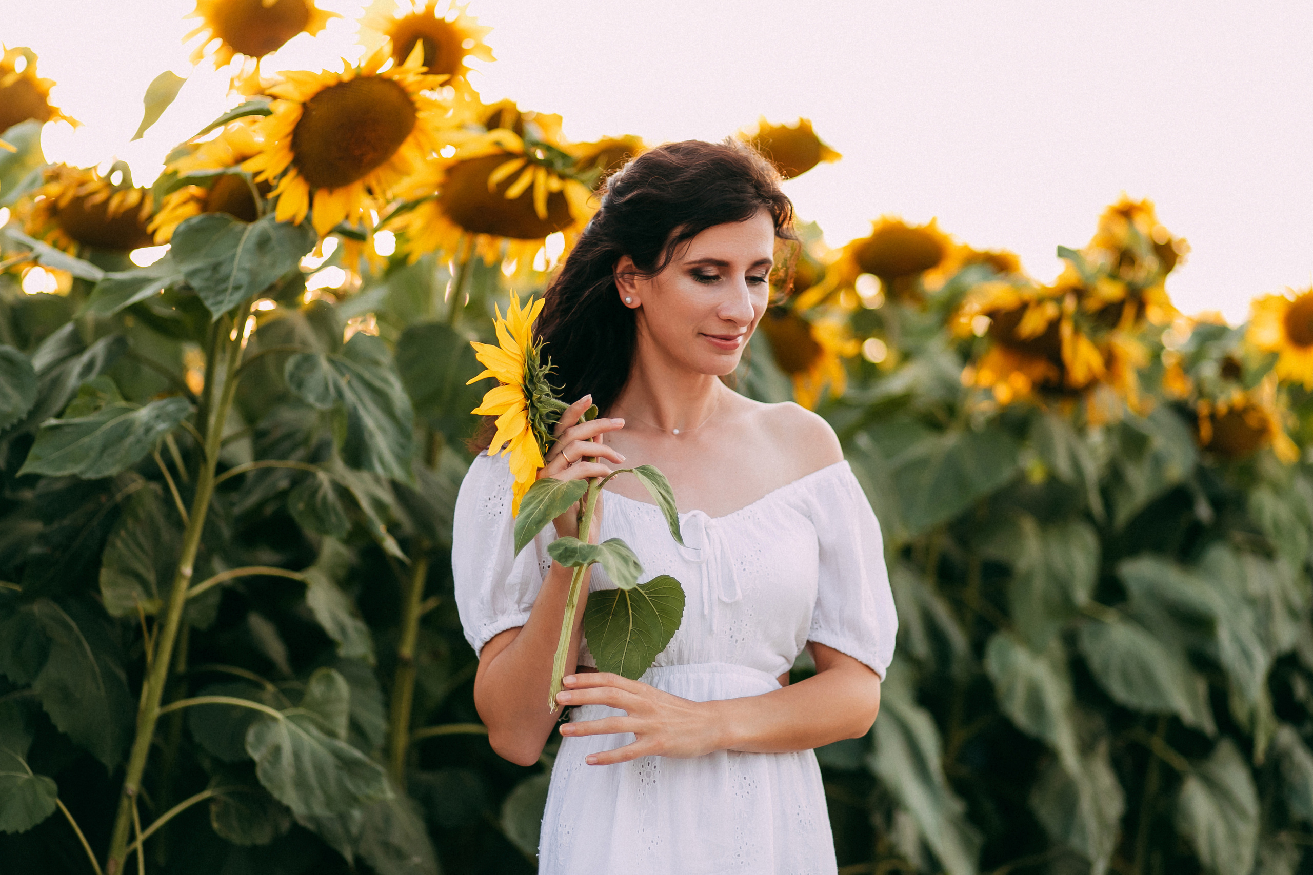 Однажды в подсолнухах. Свадебный и семейный фотограф Анастасия Меркуль