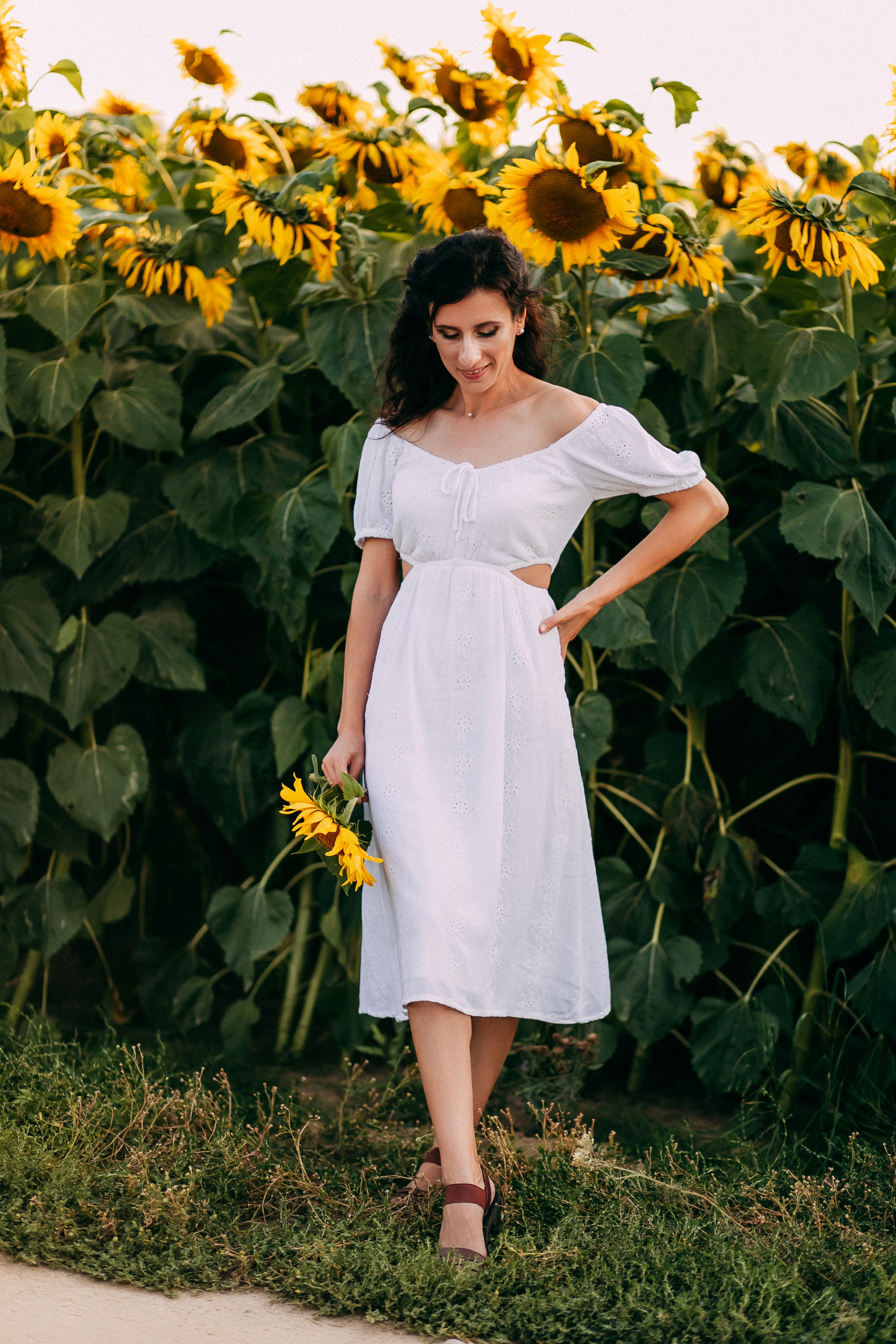 Однажды в подсолнухах. Свадебный и семейный фотограф Анастасия Меркуль