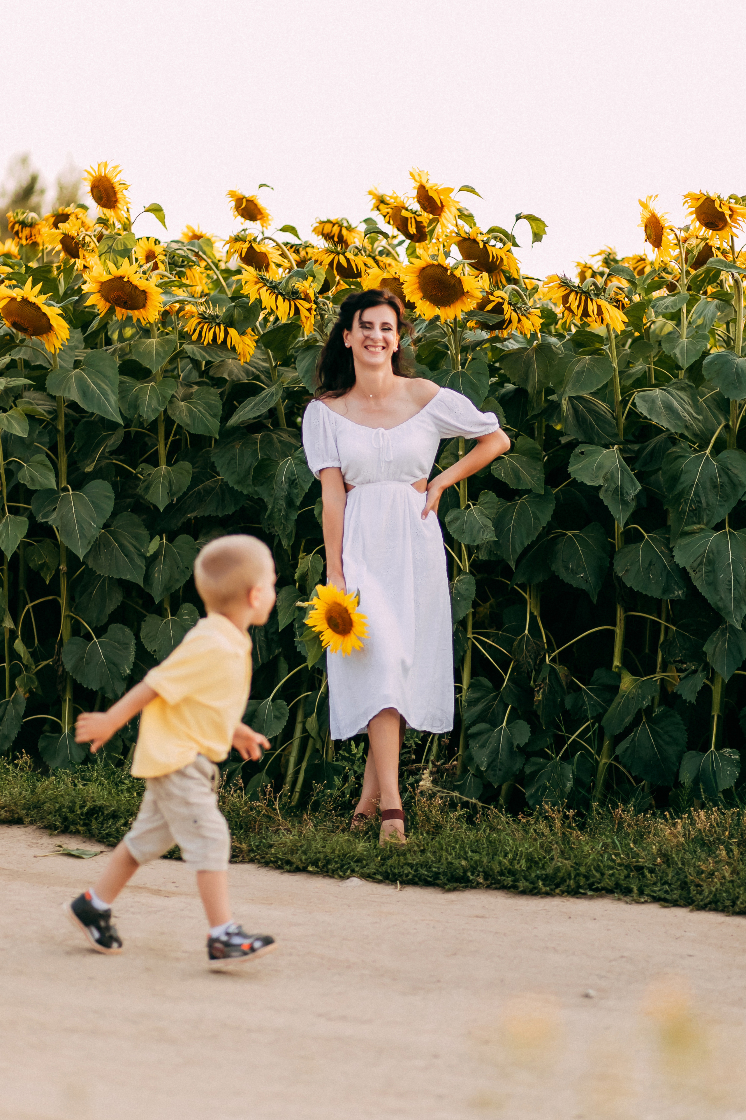 Однажды в подсолнухах. Свадебный и семейный фотограф Анастасия Меркуль
