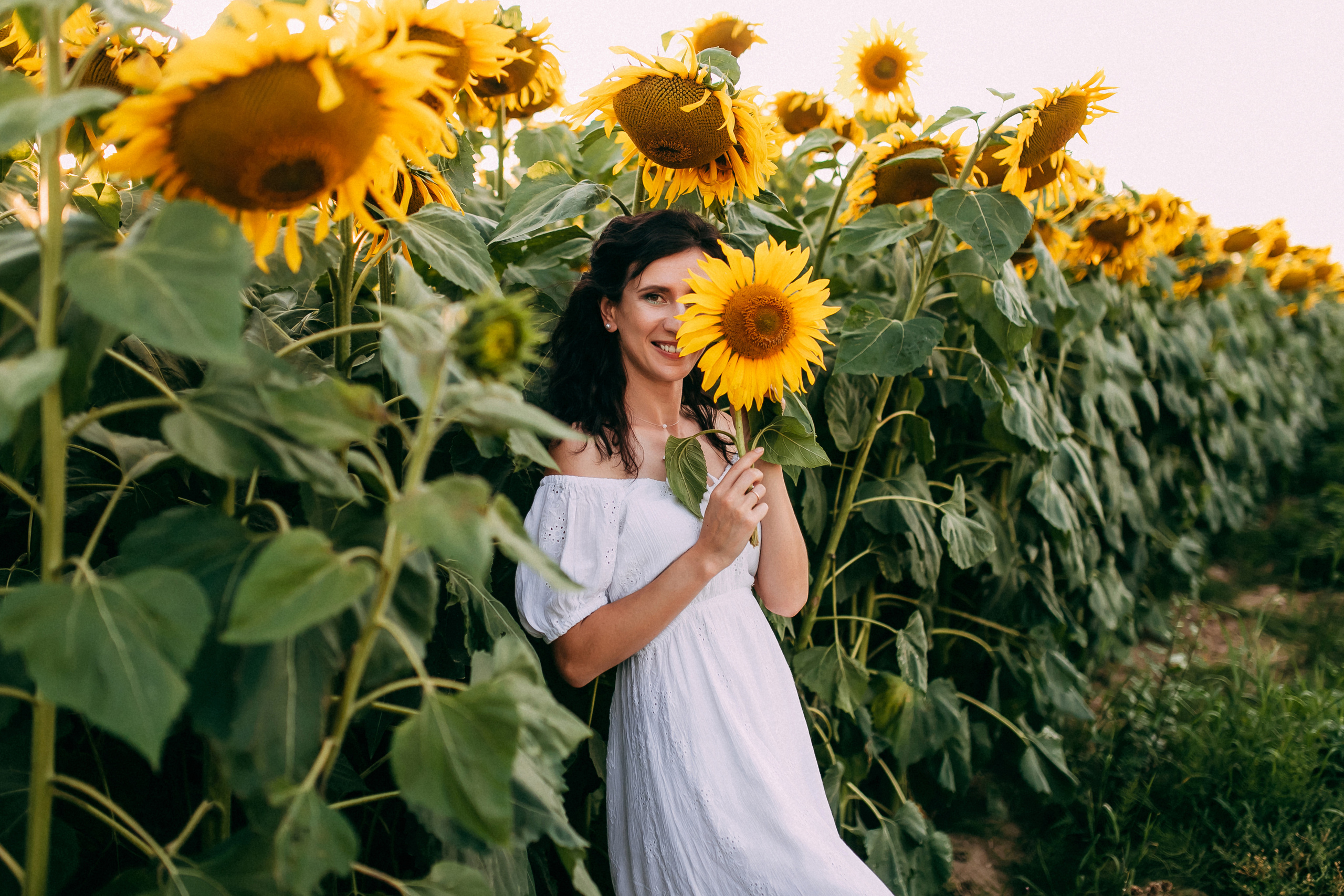 Однажды в подсолнухах. Свадебный и семейный фотограф Анастасия Меркуль