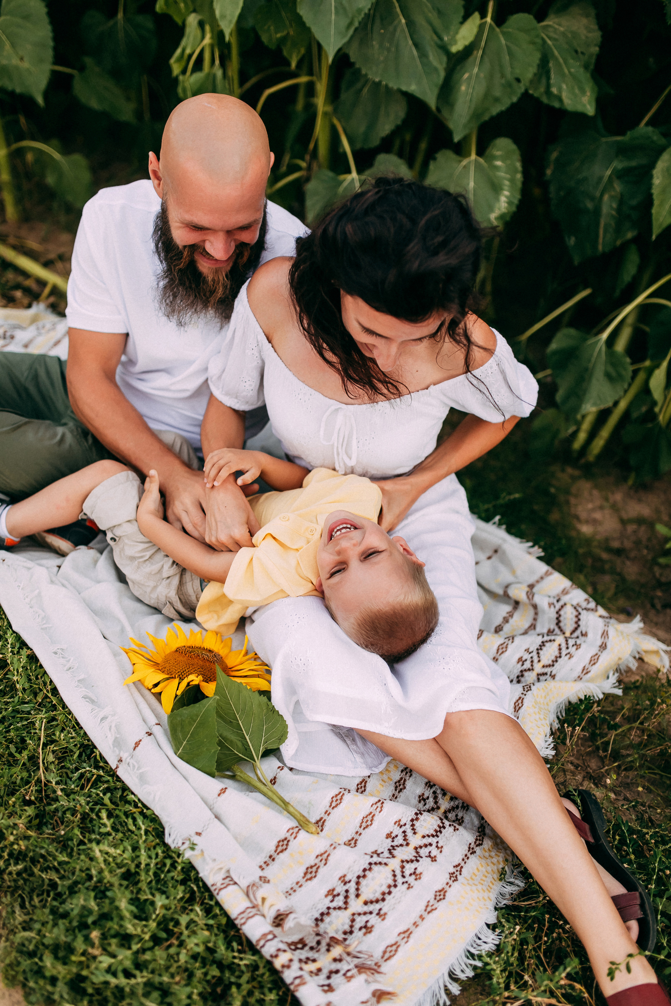 Однажды в подсолнухах. Свадебный и семейный фотограф Анастасия Меркуль
