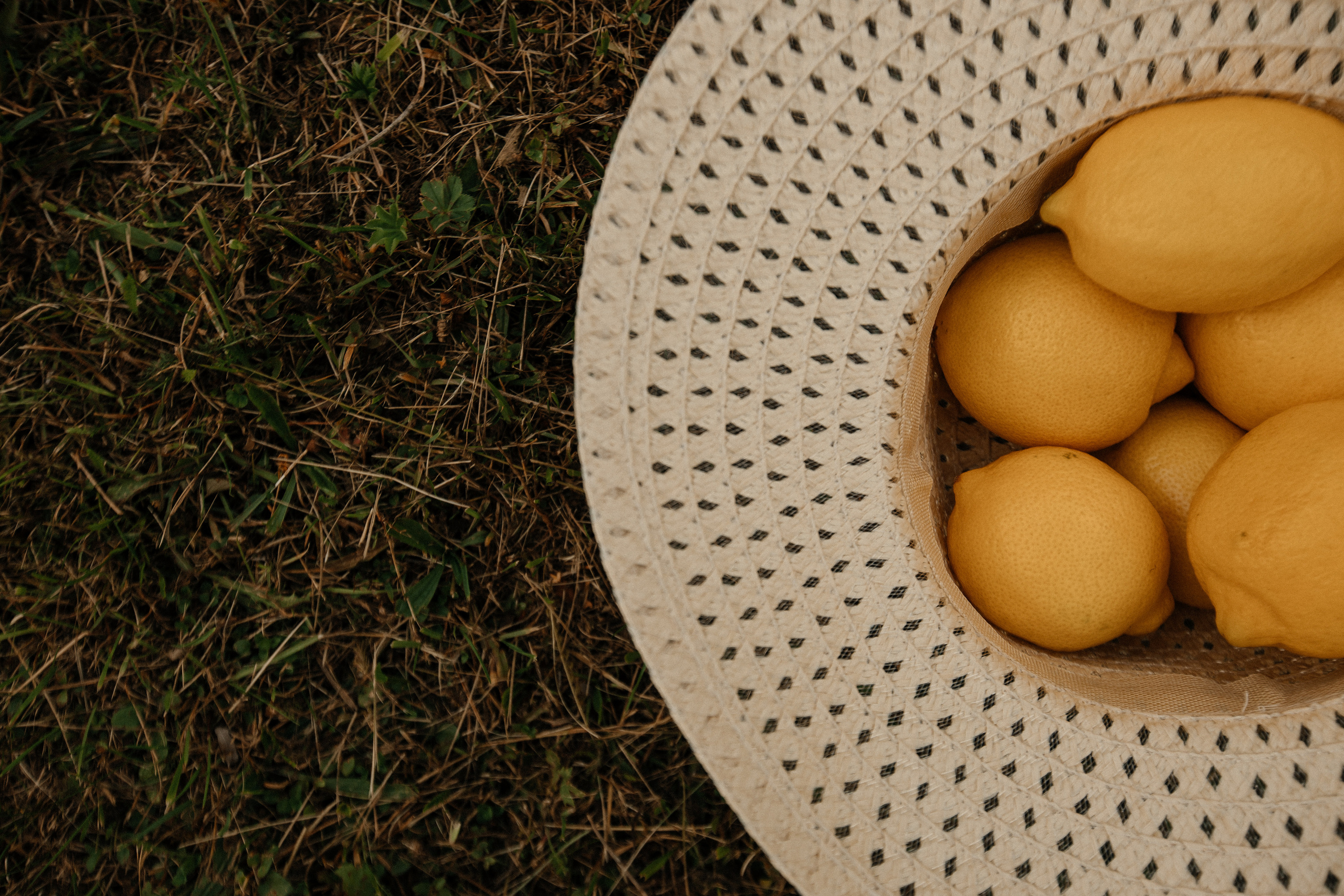Оксана (для блога). Свадебный фотограф Таня Караисаева