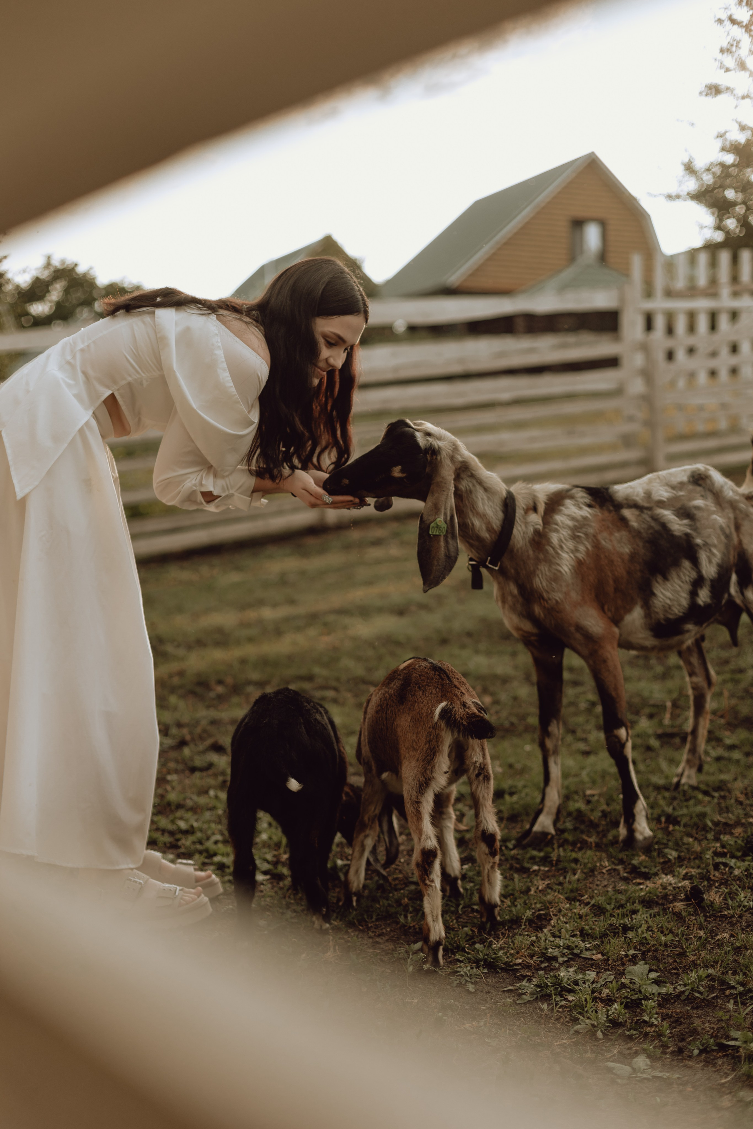 Наташа. Главная