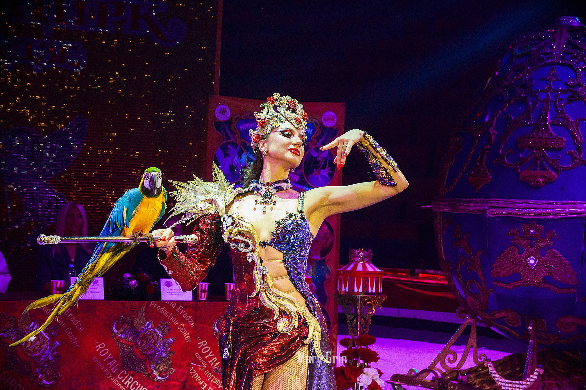 Цирк Гии Эрадзе. Детский и семейный фотограф, фотограф мероприятий Нижний Новгород