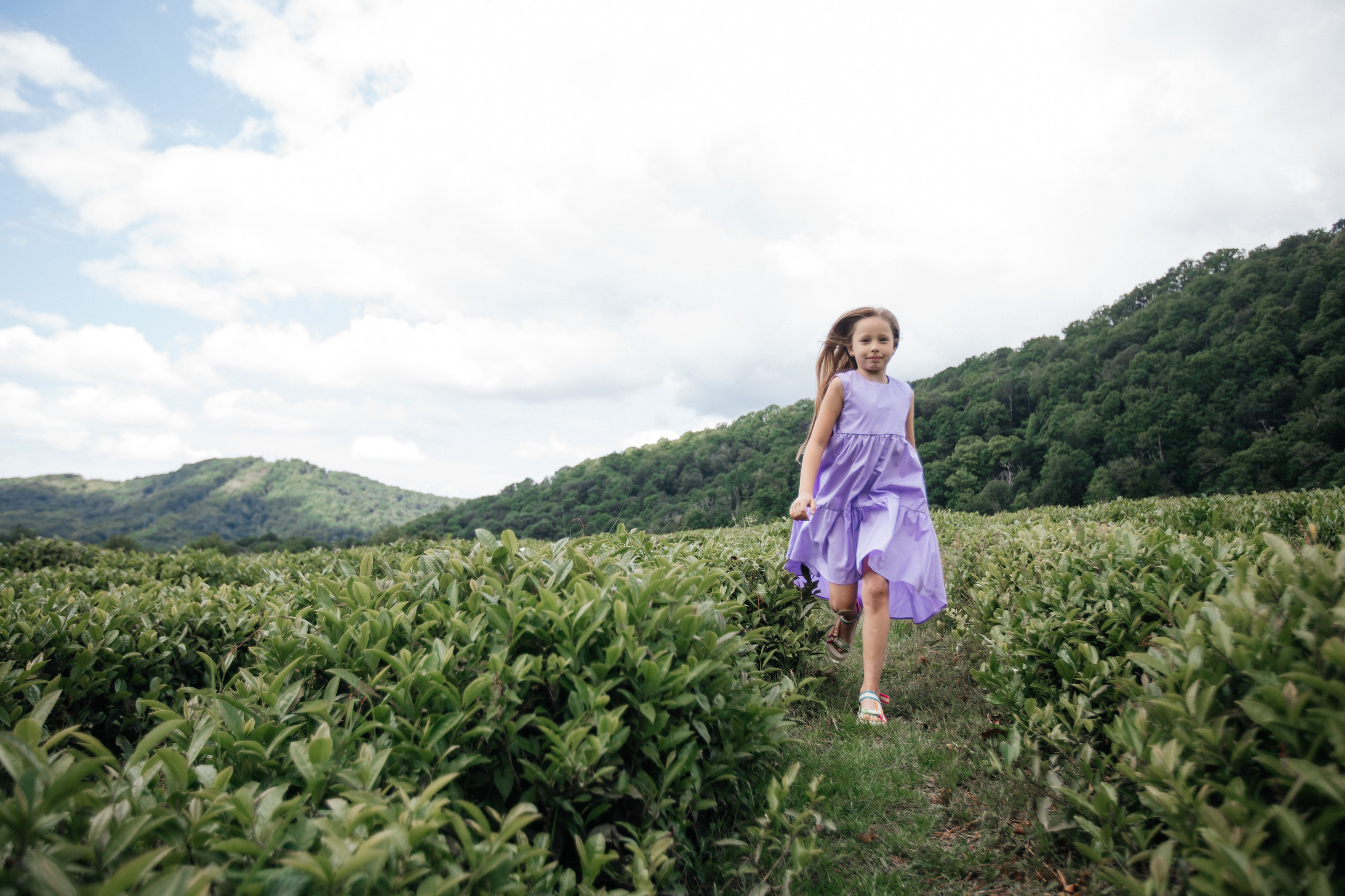 Tea plantation. Efimova Model Agency