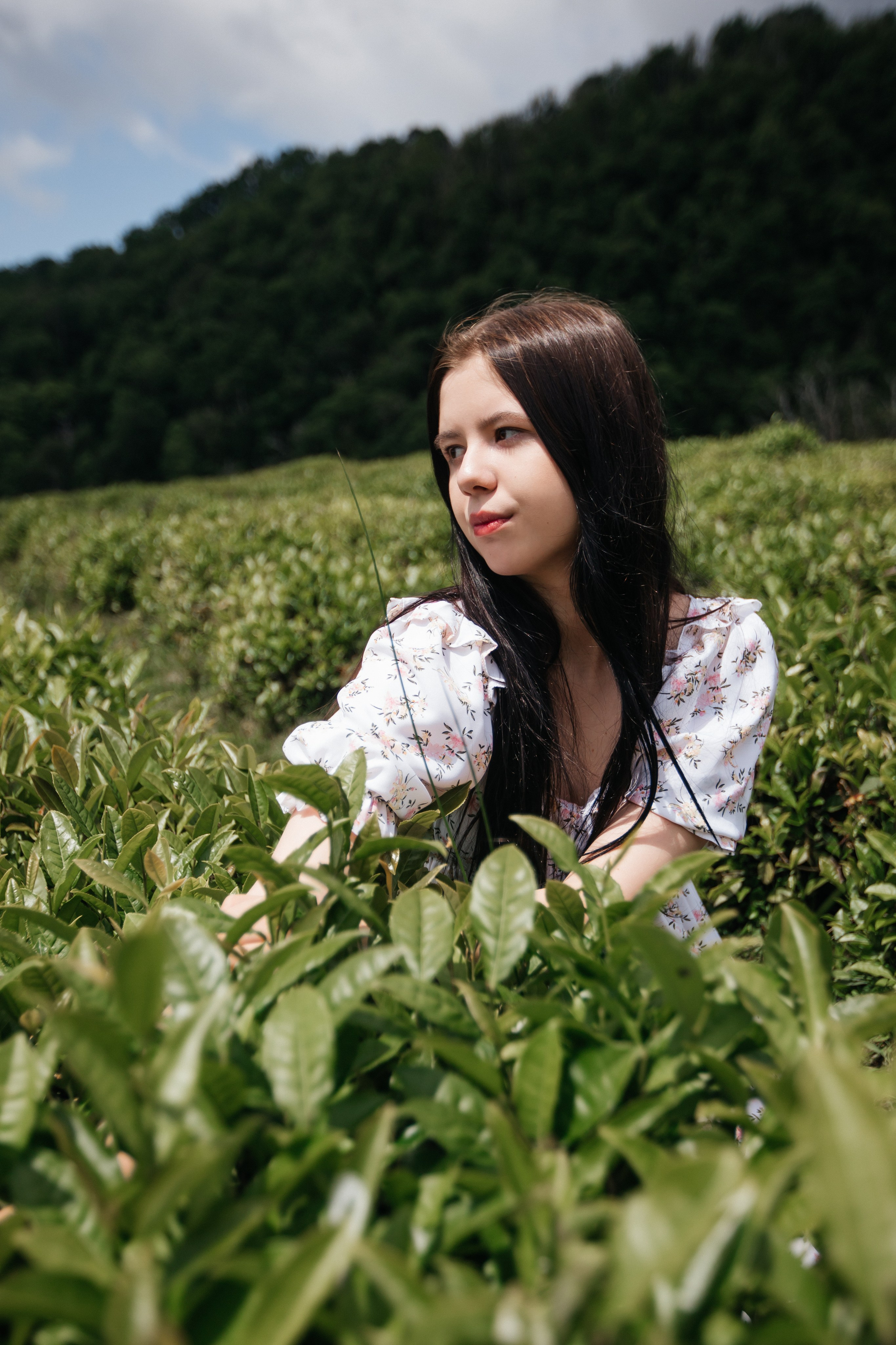 Tea plantation. Efimova Model Agency