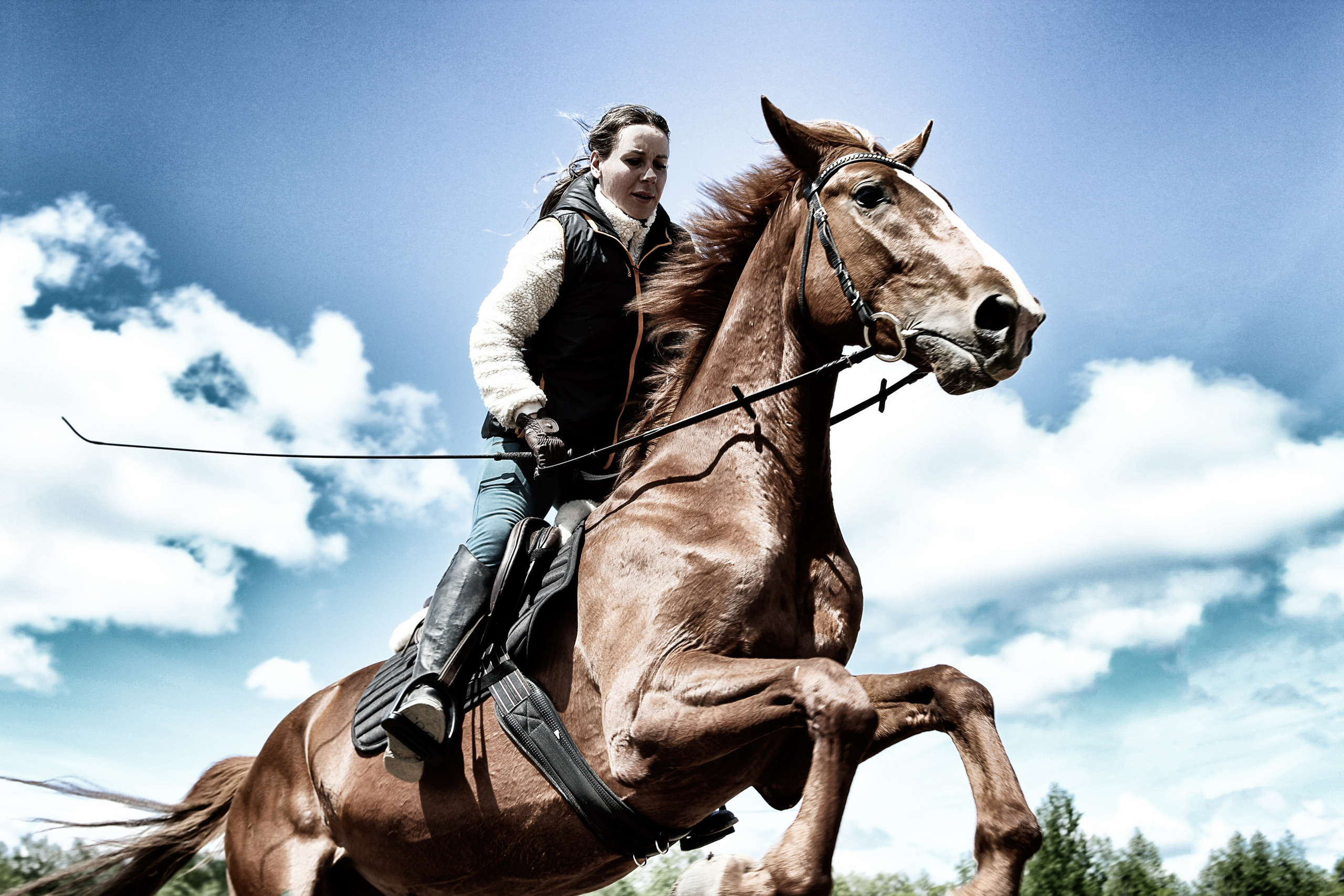 Лошади «Каскад» и «Брилиант». Алиса Томшина — Фотограф / Видеограф