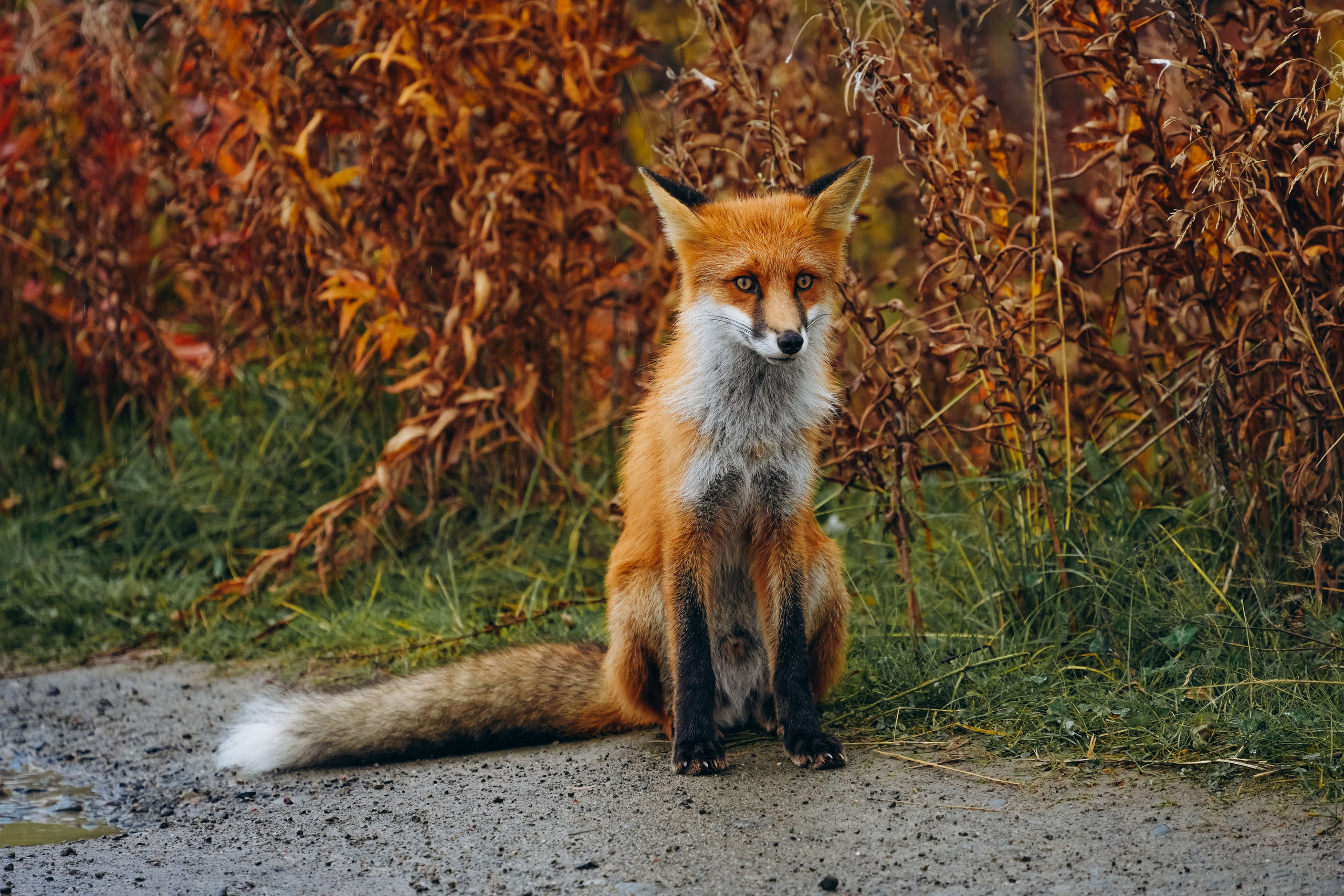СЕВЕР. Event фотограф Степанова Александра
