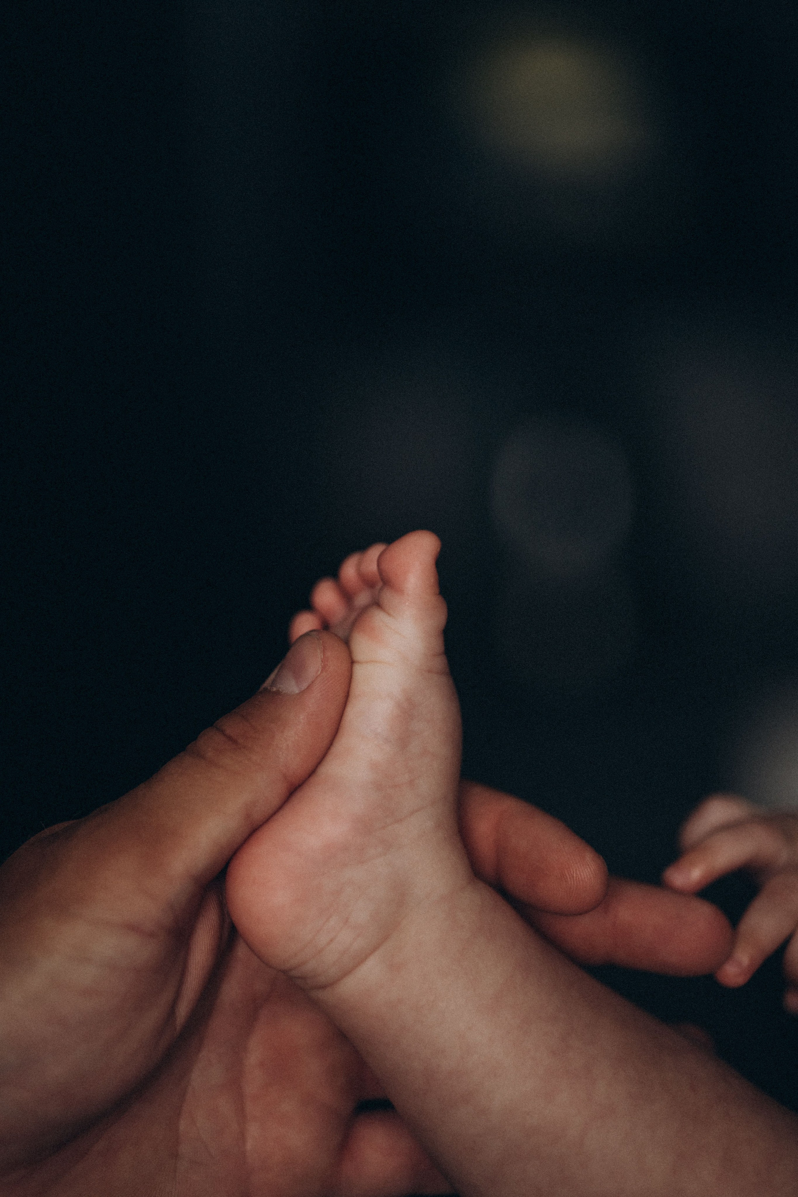 Артем Юля Лиза и кошка Мяу. Семейный фотограф Нижневартовск Тюмень Ефимова Ирина