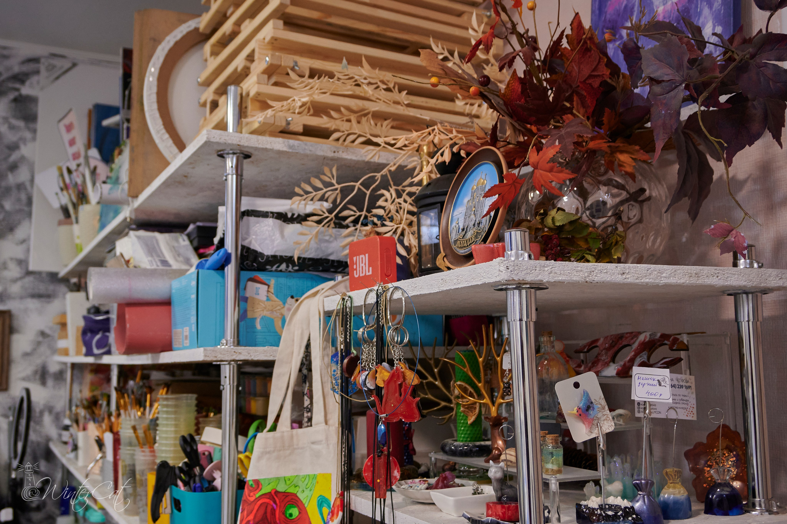 Мастер Класс Смола Ирины Чегуровой 20.10.24. Портретный и репортажный фотограф в Магадане Андрей Нефедов WinterCatPhoto