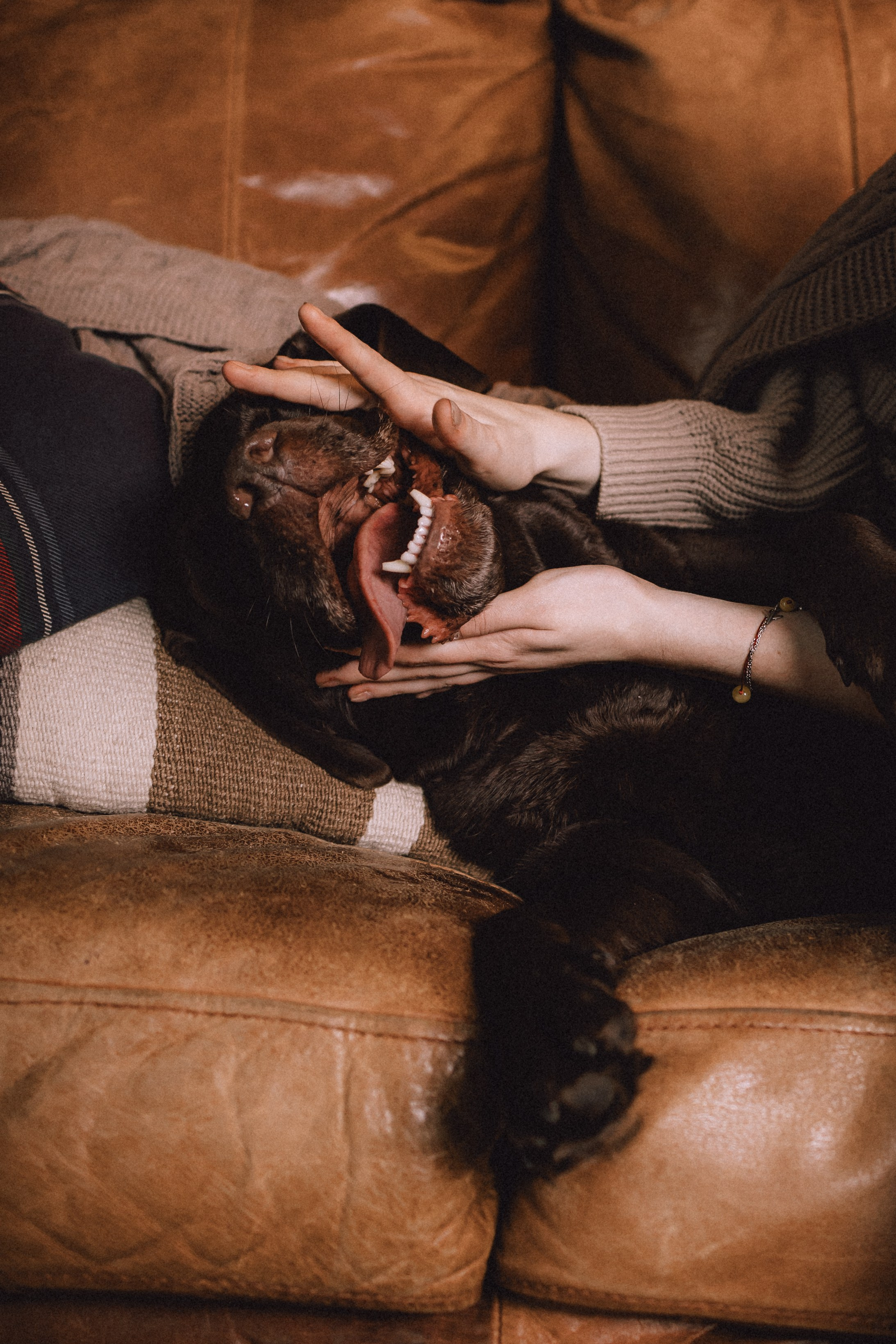 Ума, Берта и их семья