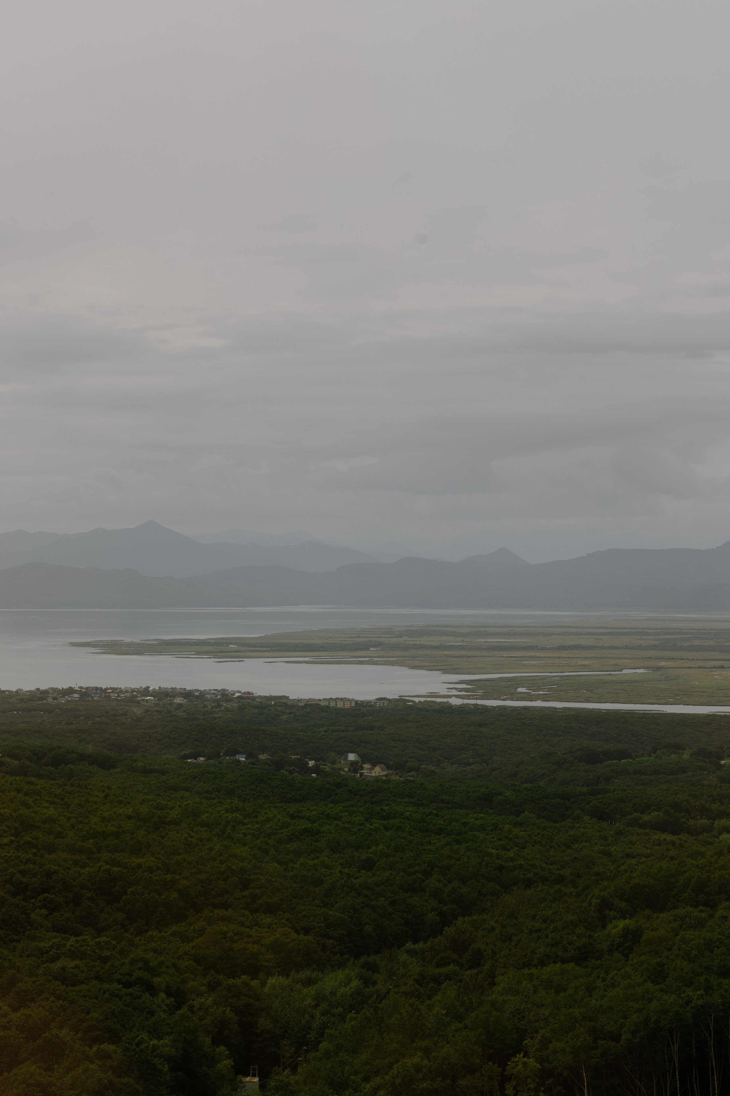 Денис и Анастасия. @dariazphoto свадебный фотограф