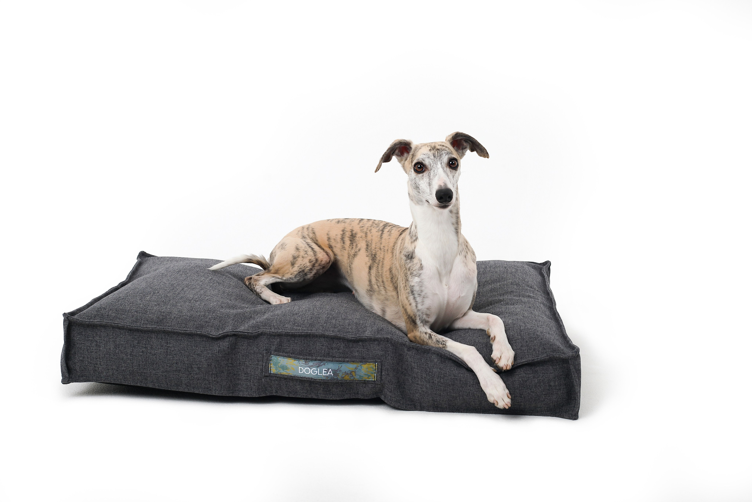 Для брендов. Фотограф- анималист Санкт-Петербург