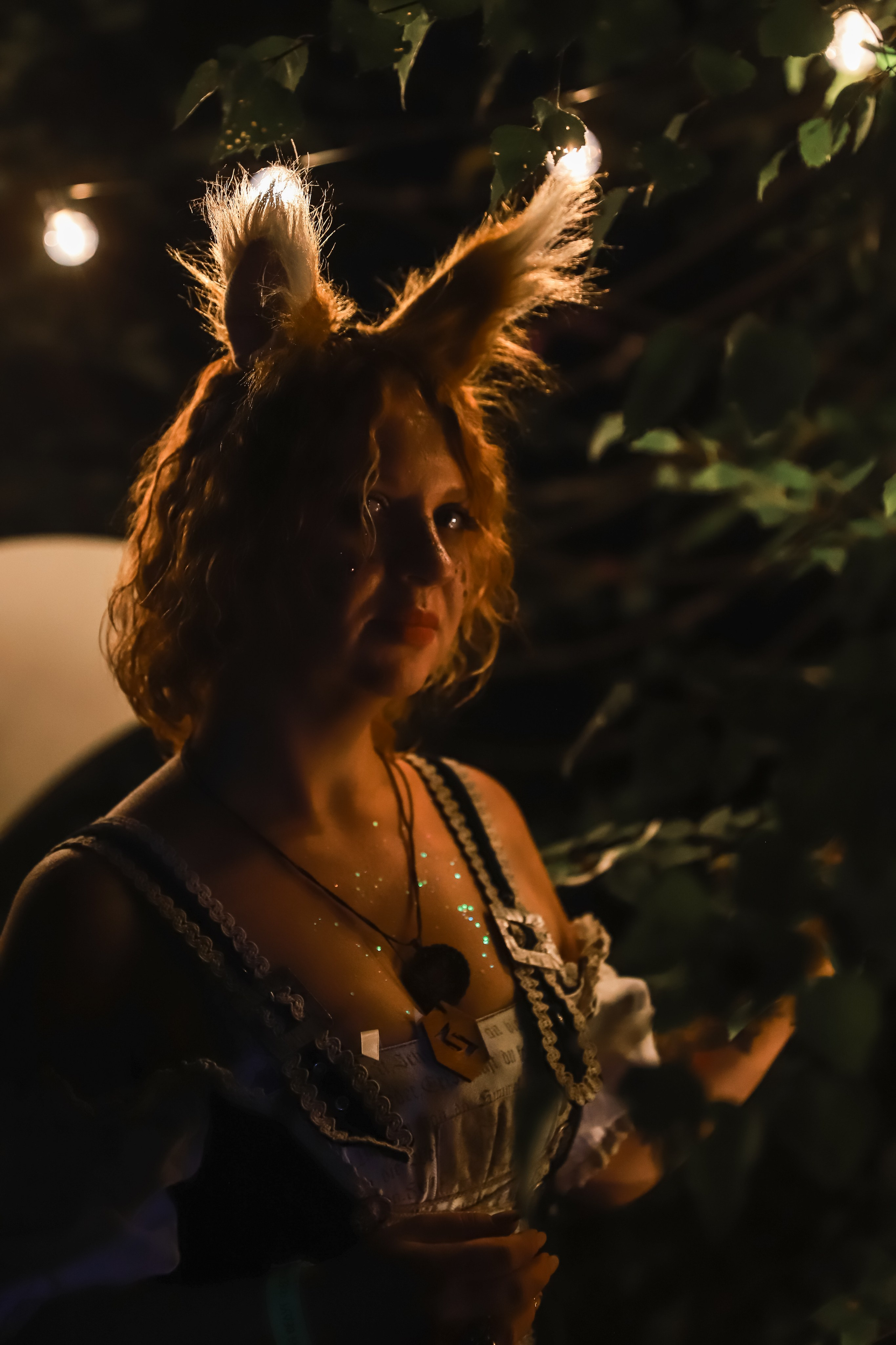 Фестиваль Жива