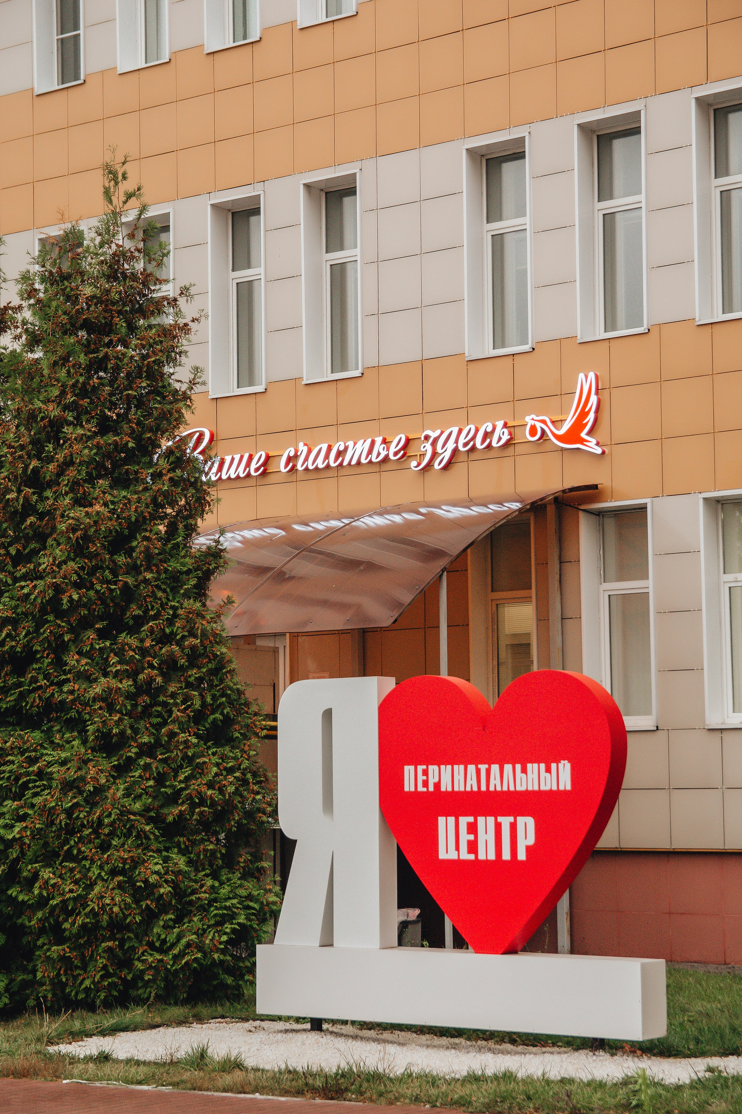 Выписка Александра. Свадебный и семейный фотограф Пушкин Царское Село СПБ Питер Санкт-Петербург и Рязань Ольга Козлова