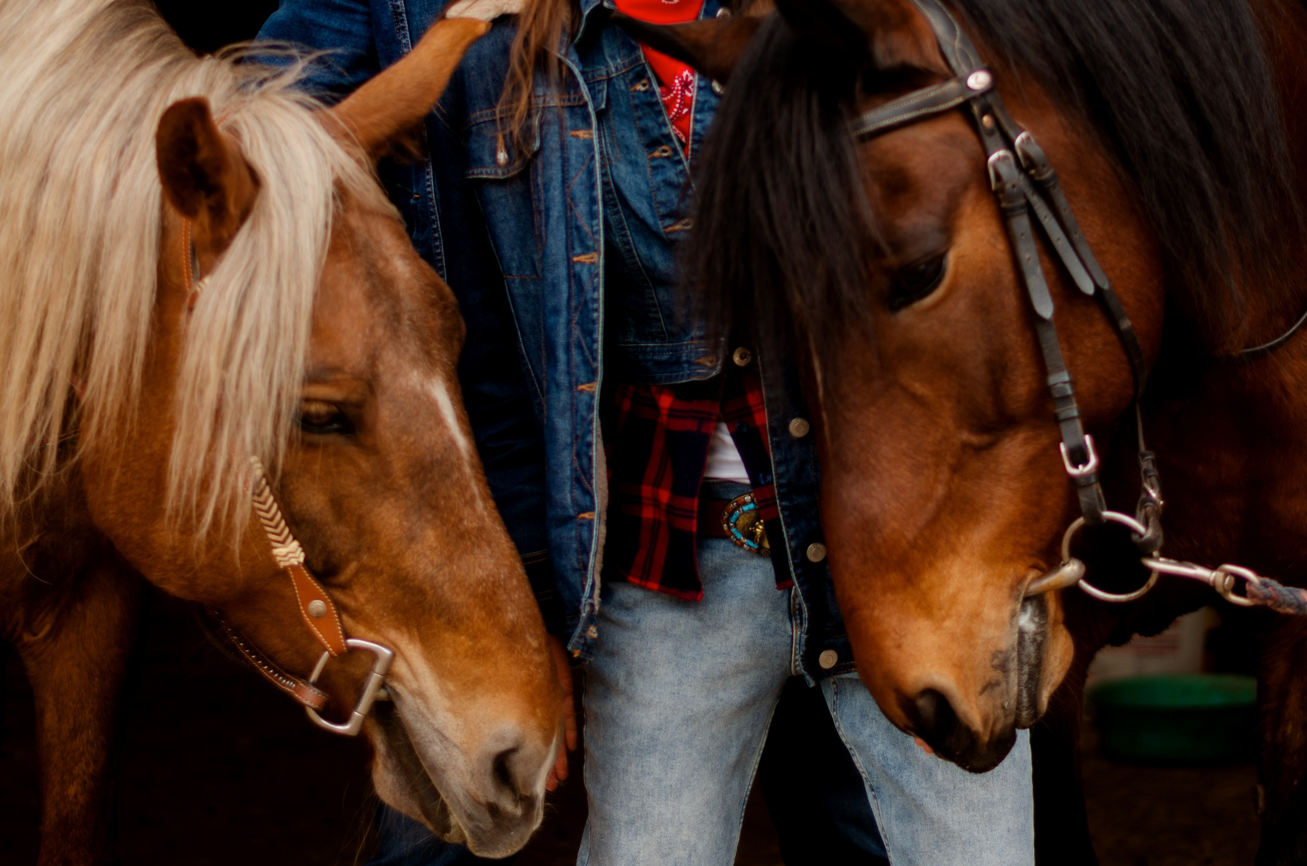 Индейская история. Фотограф Марина Доглядная Челябинск фотосессии с лошадьми, мотоциклами