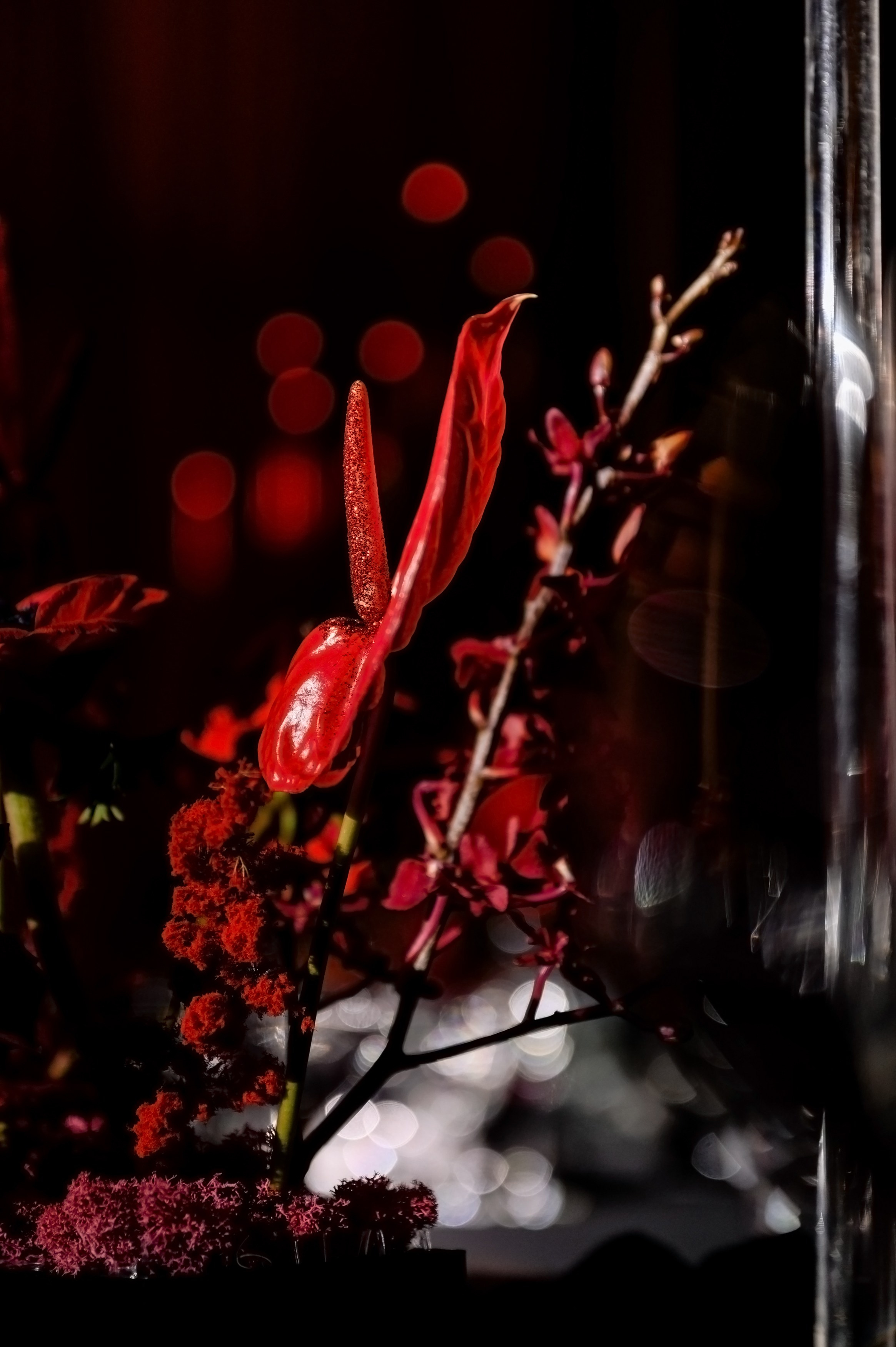 Юбилей 50 лет. Организатор Романова Любовь