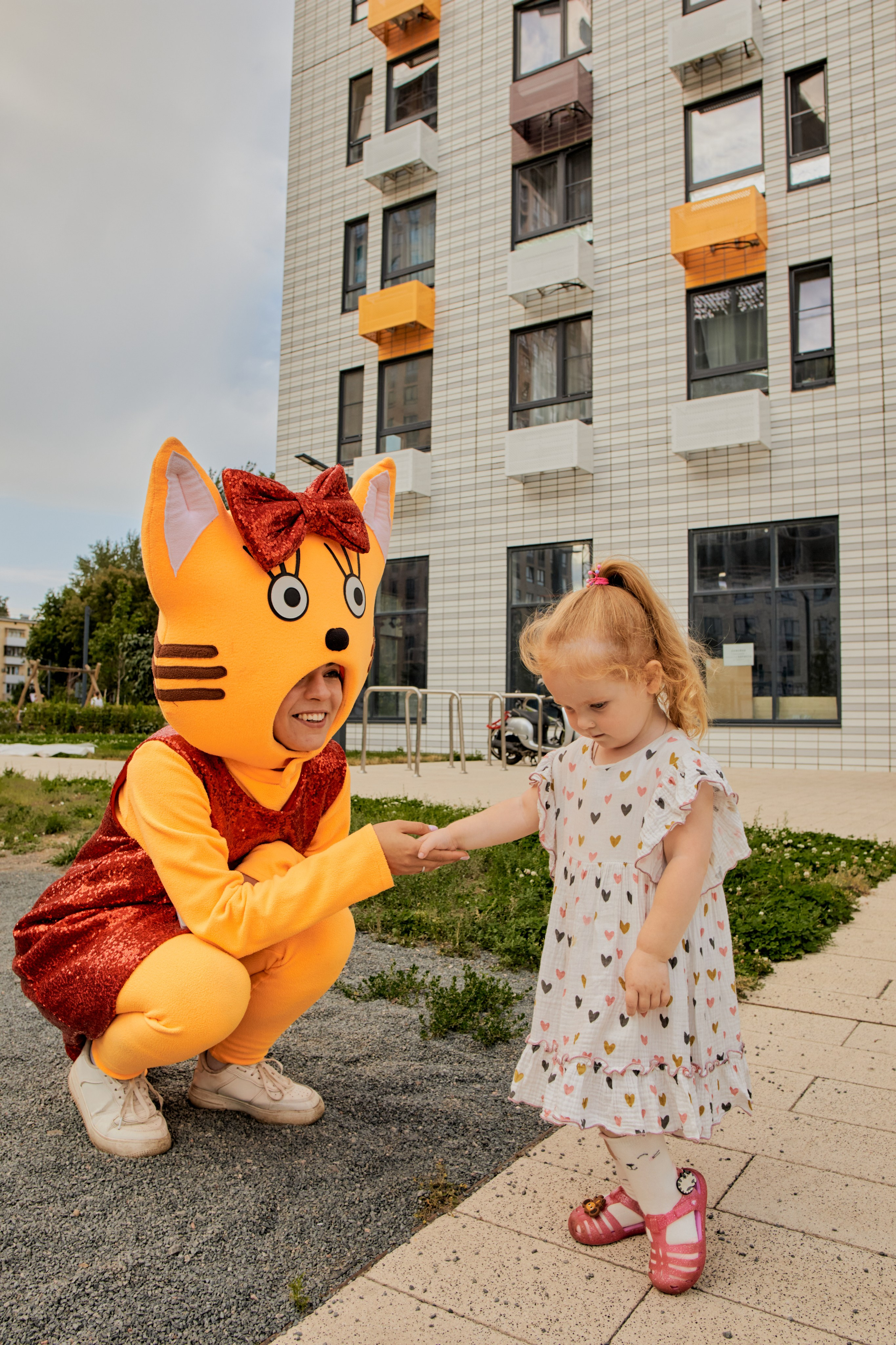 Три кота. Фотограф Москва