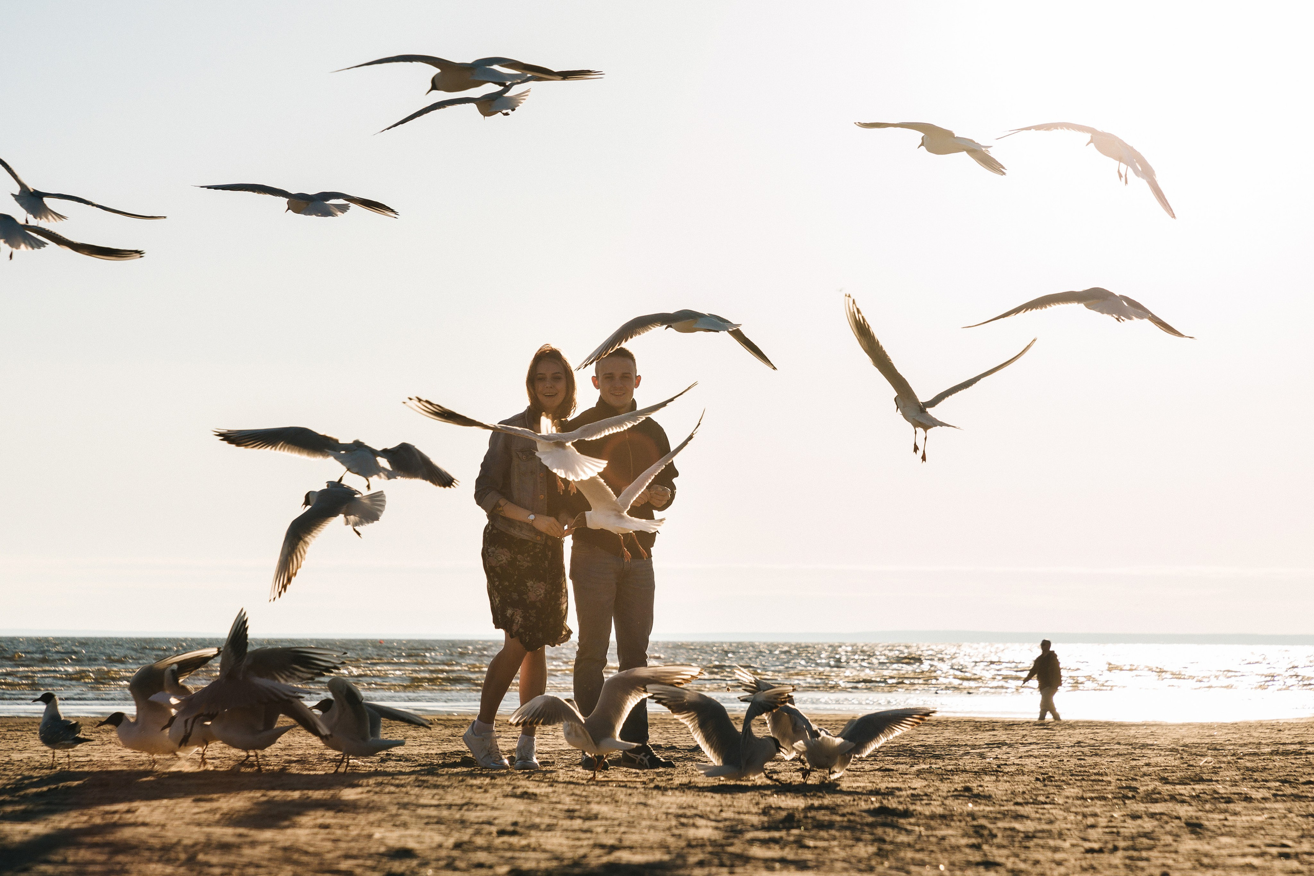 Анна и Антон. Свадебный фотограф в Санкт-Петербурге Анастасия Андреева