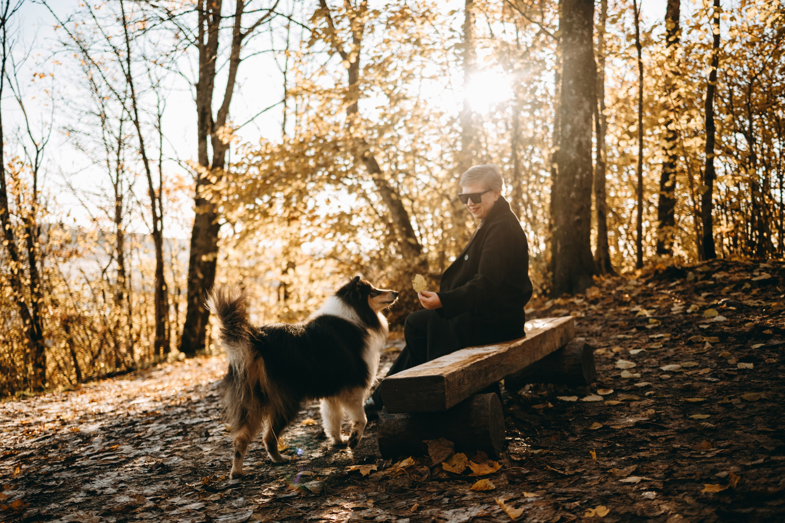 Ия и Барт. Фотограф — Анималист | Санкт-Петербург