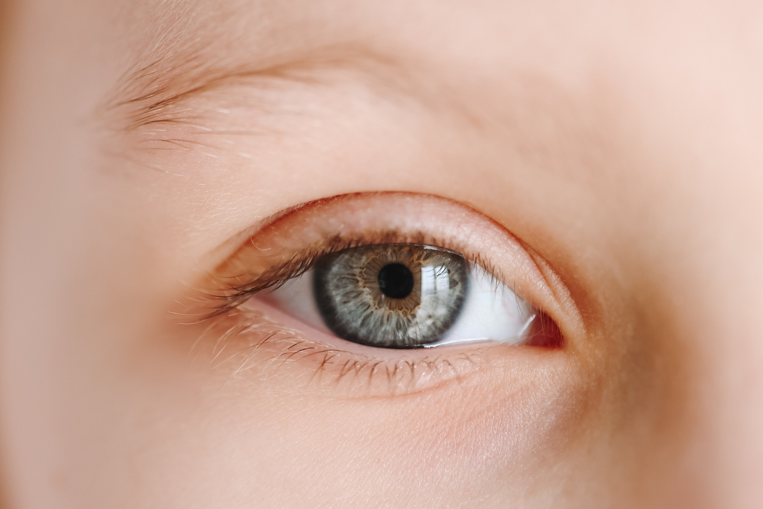 Eyes. Фотограф на Юге России