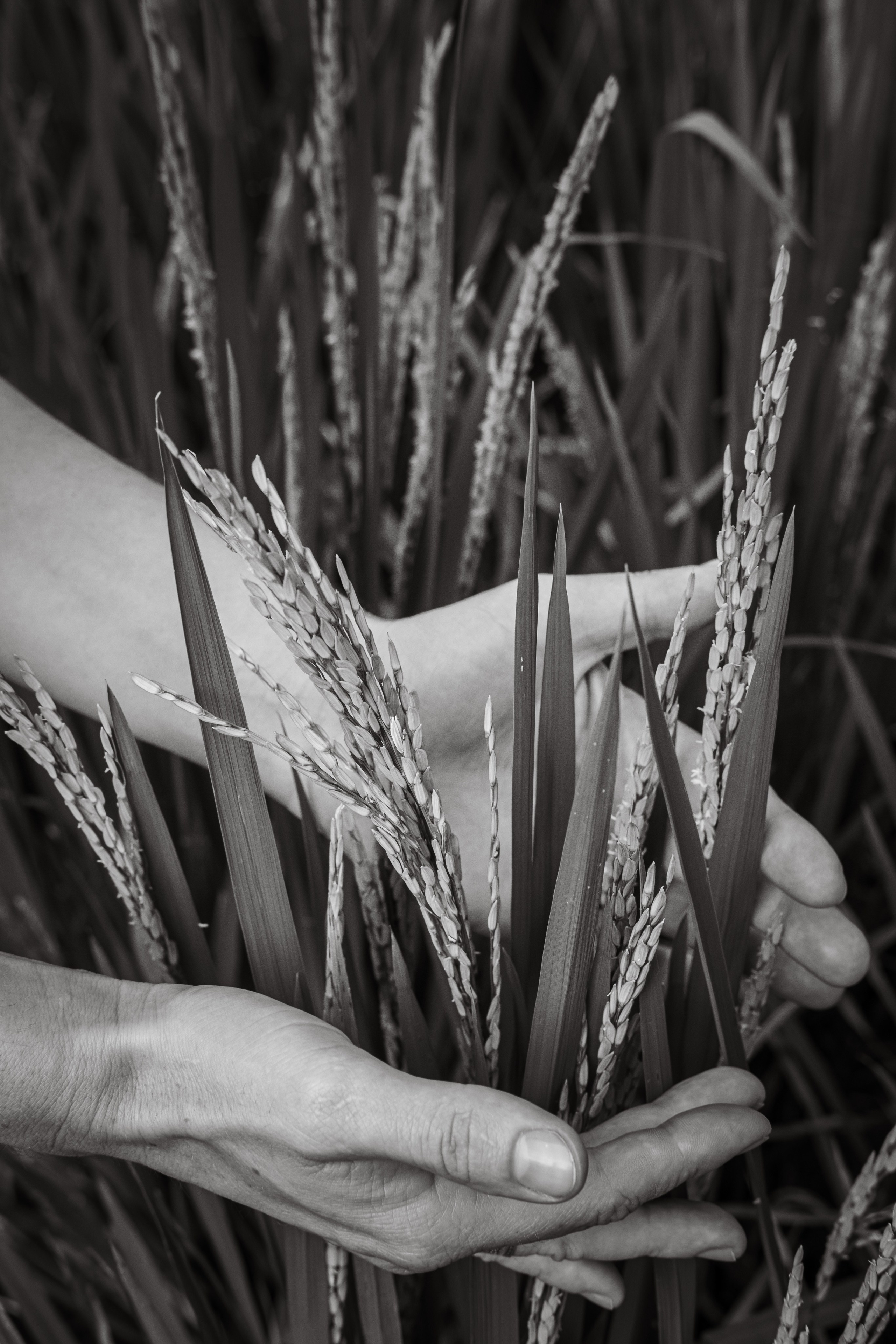 Бали|Таня. Фотограф на Бали|Свадьба на Бали