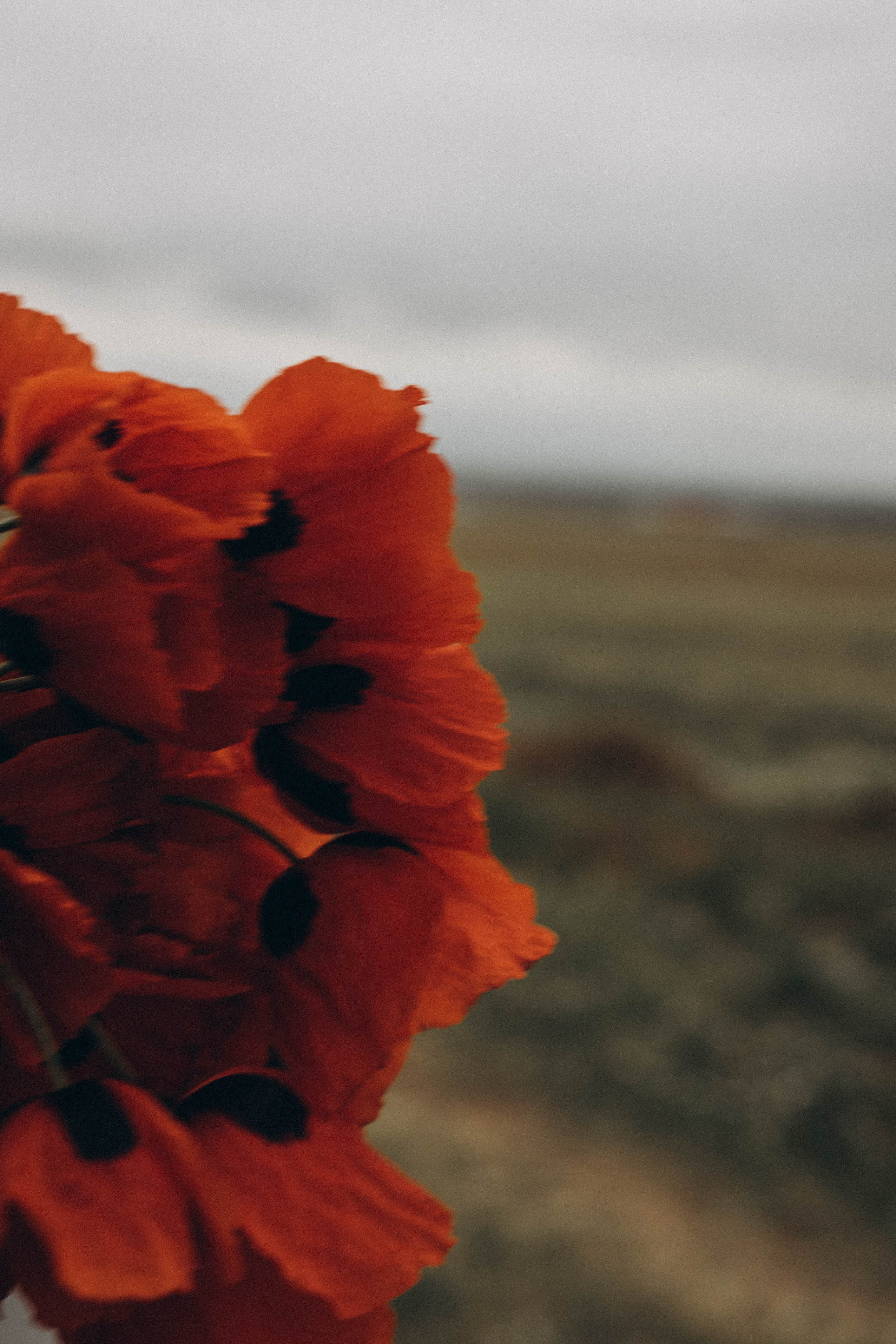 Путешествие в Дагестане. Профессиональный фотограф, Санкт-Петербург — Виктория Богомолова