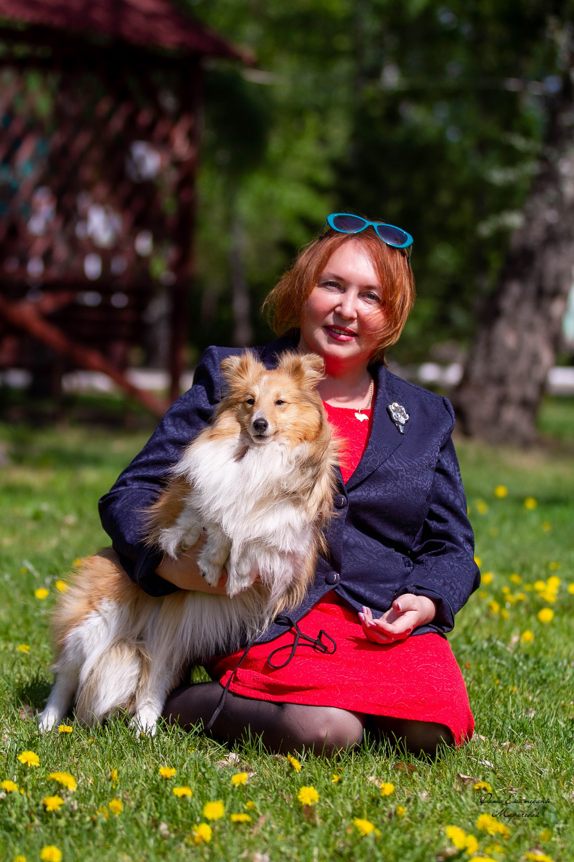 Заринговая съёмка на выставках собак. Фотограф-анималист в Омске Екатерина Маричева