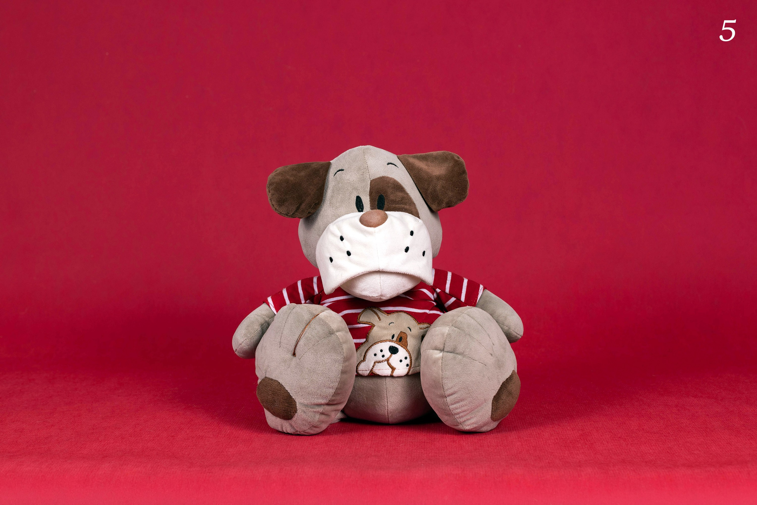 Фоны. Фотограф-анималист в Омске Екатерина Маричева