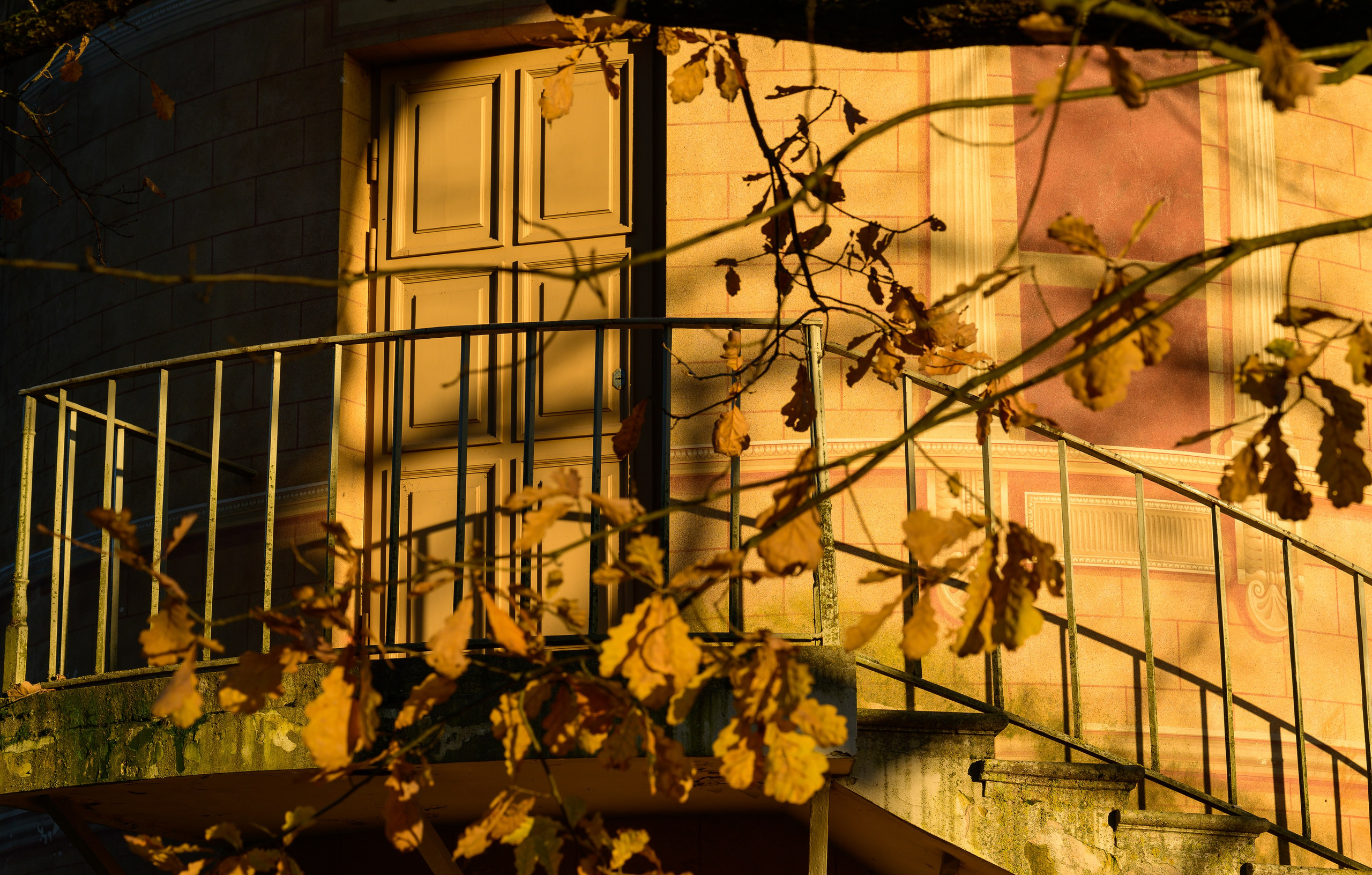 SAINT PETERSBURG | SUBURBS. Personal website of photographer Dmitry Raikin