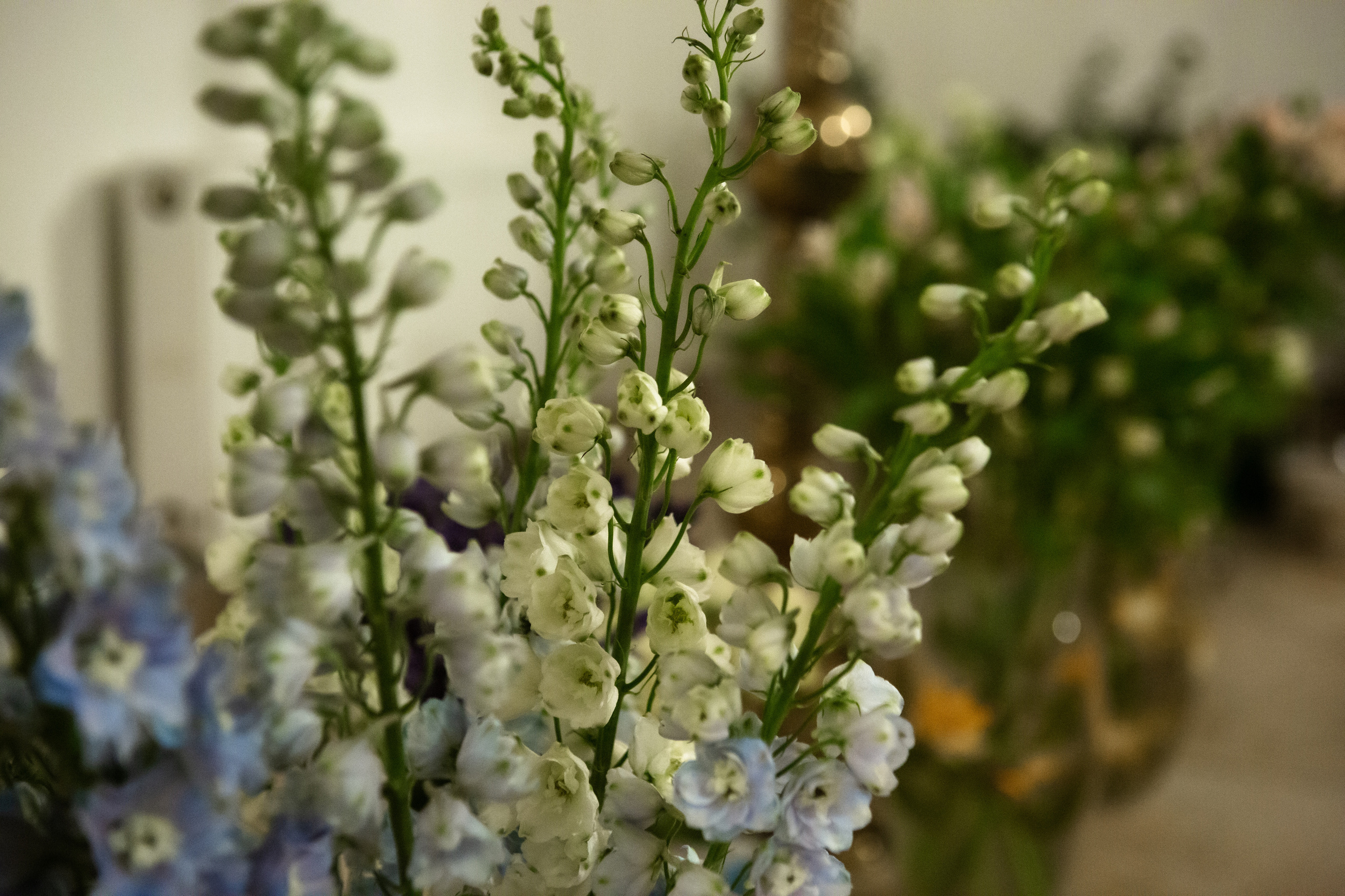 МАСТЕР КЛАСС ПО ХРАМОВОЙ ФЛОРИСТИКЕ. Фотограф на крестины