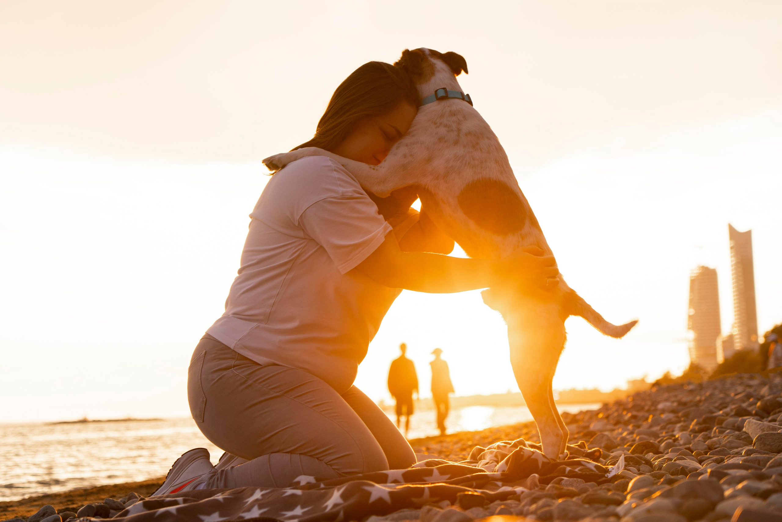 Илья+Марина. Photographer in Cyprus