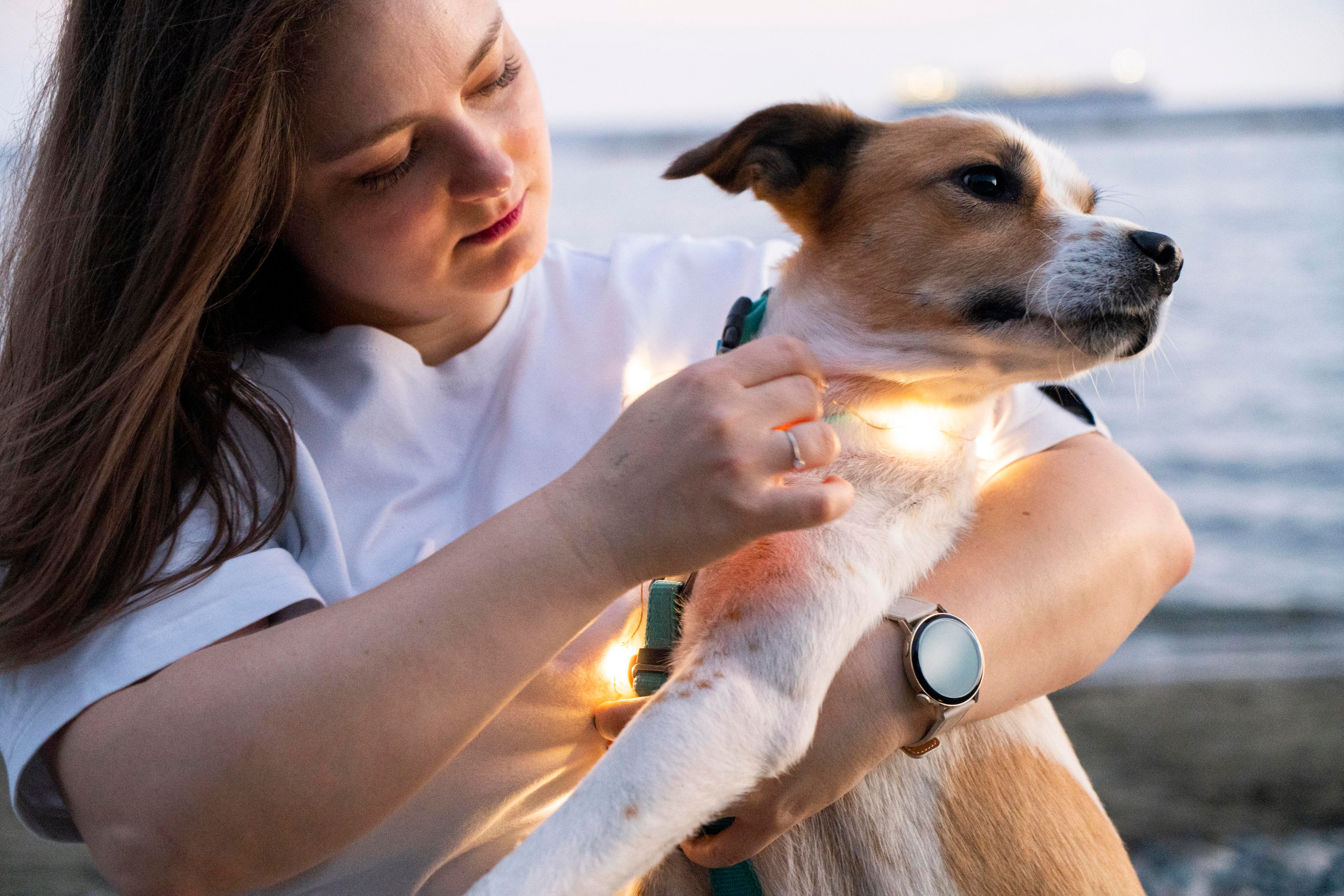 Илья+Марина. Photographer in Cyprus