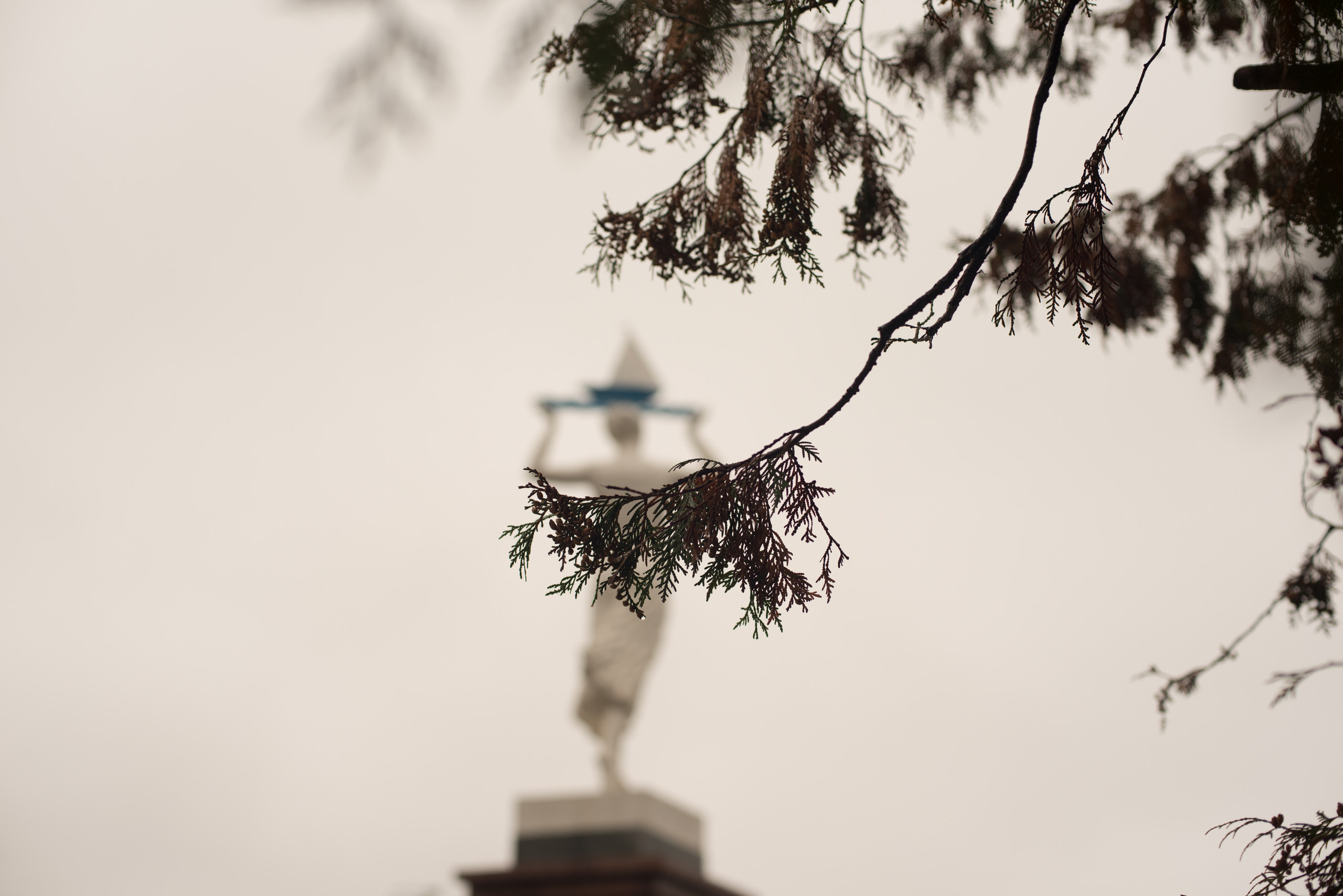 Отзывы. Индивидуальные и свадебные фотосессии в Москве. Фотограф Маякова Вера