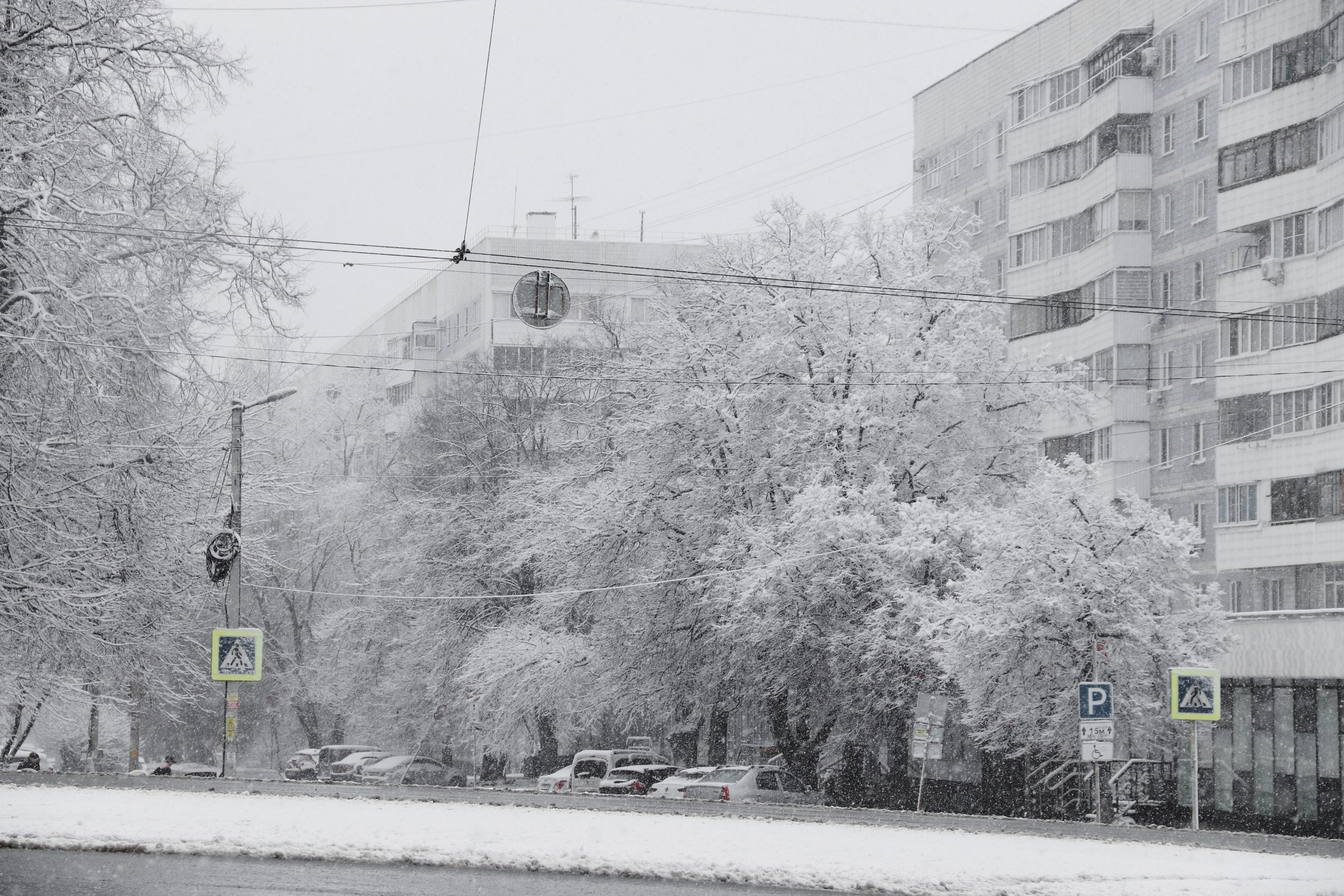 Монохромность марта. С любовью, фотохудожник