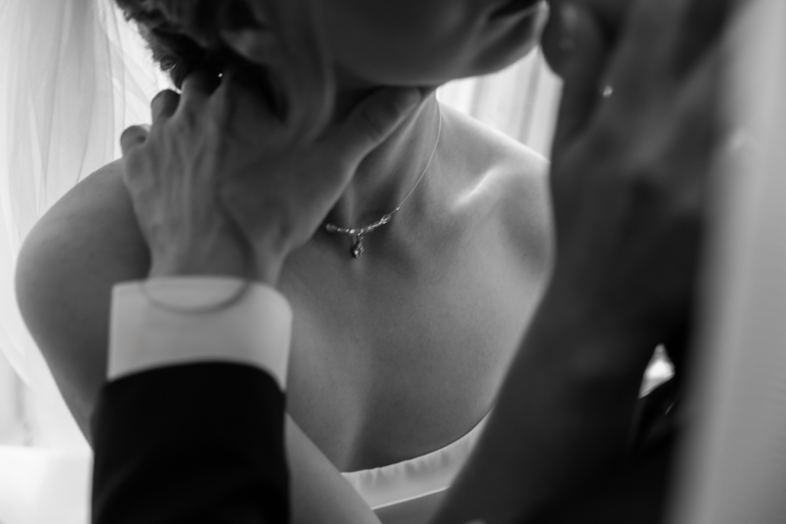 Елки-парк. Свадебный фотограф Дмитрий Воробьев Ярославль