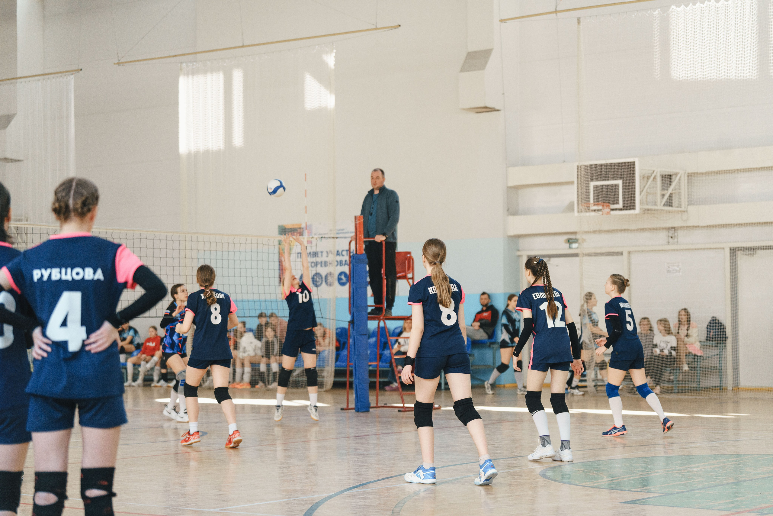 Волейбол торус. Фотограф-анималист в Санкт-Петербурге